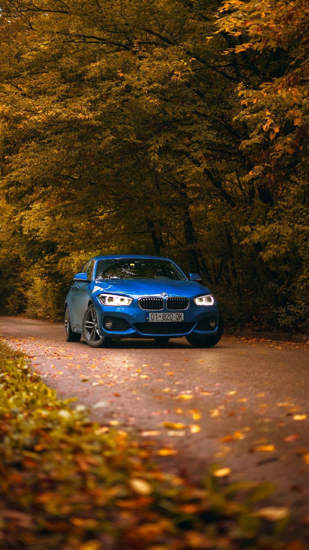 a blue car driving down a tree lined road