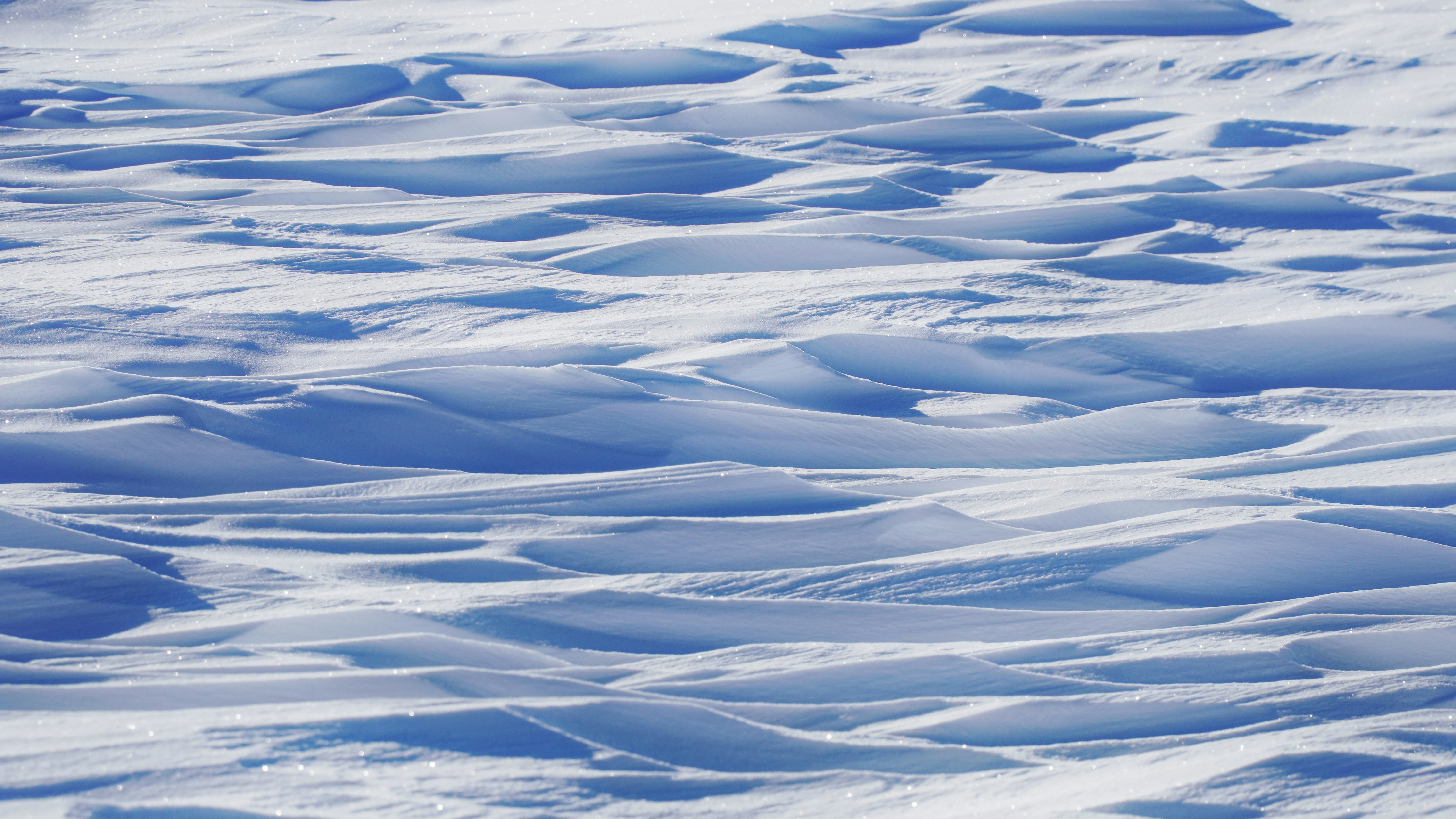 Photo by fantomedelamusique