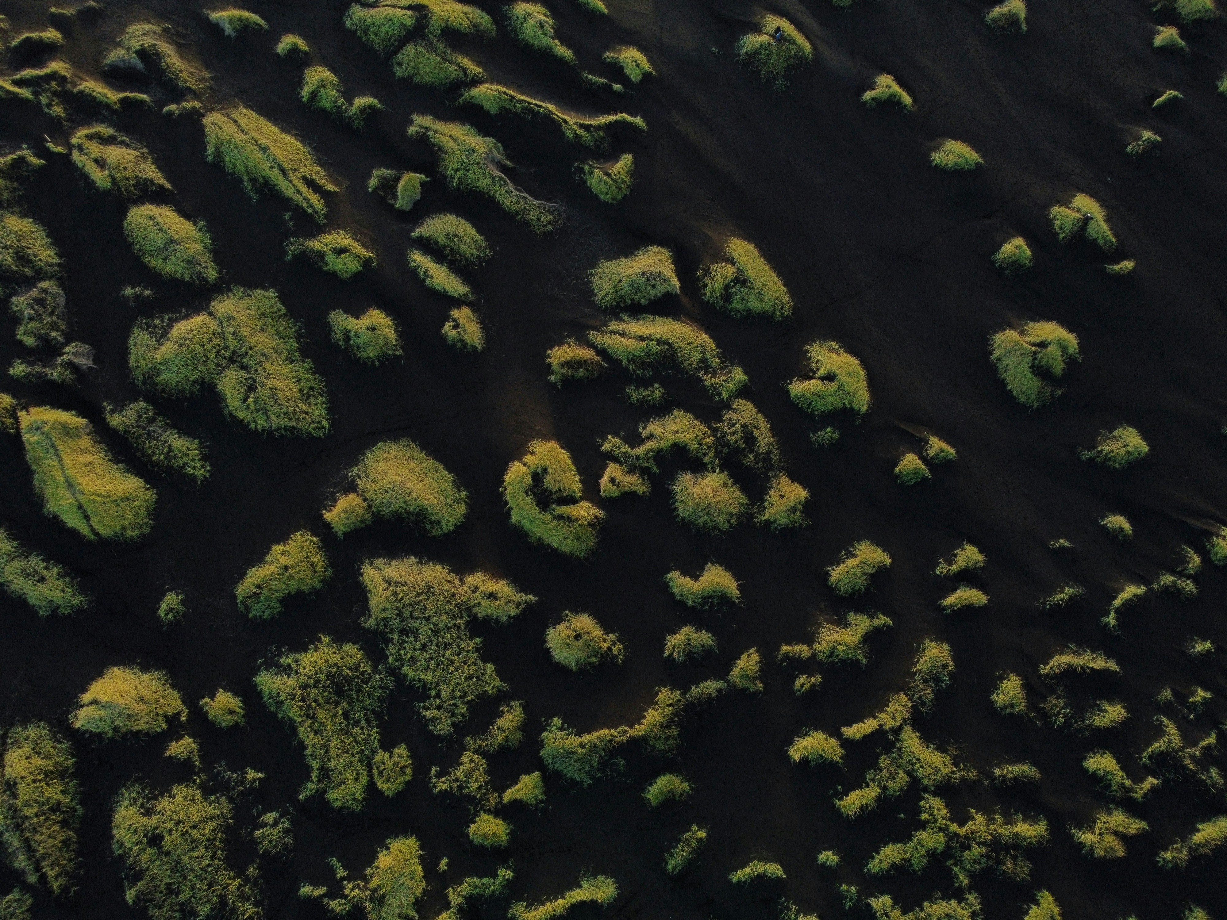 Photo by fantomedelamusique