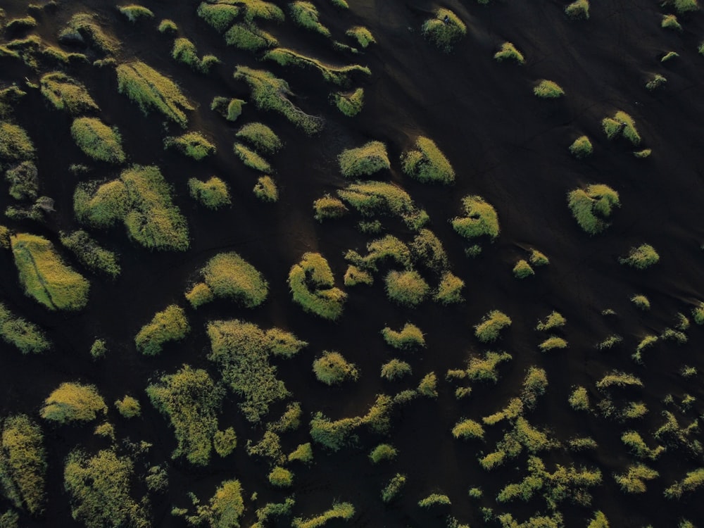 an aerial view of a field of grass