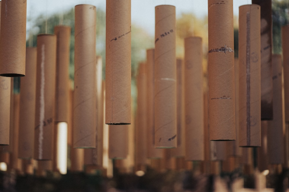 um grupo de postes de madeira com escrita neles