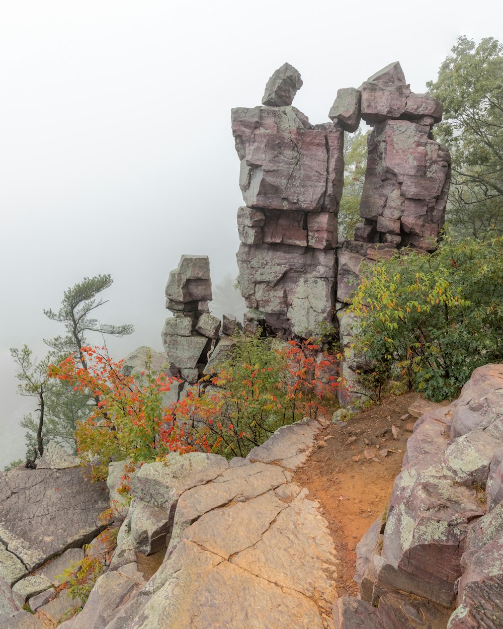 a rock formation with a few trees growing out of it