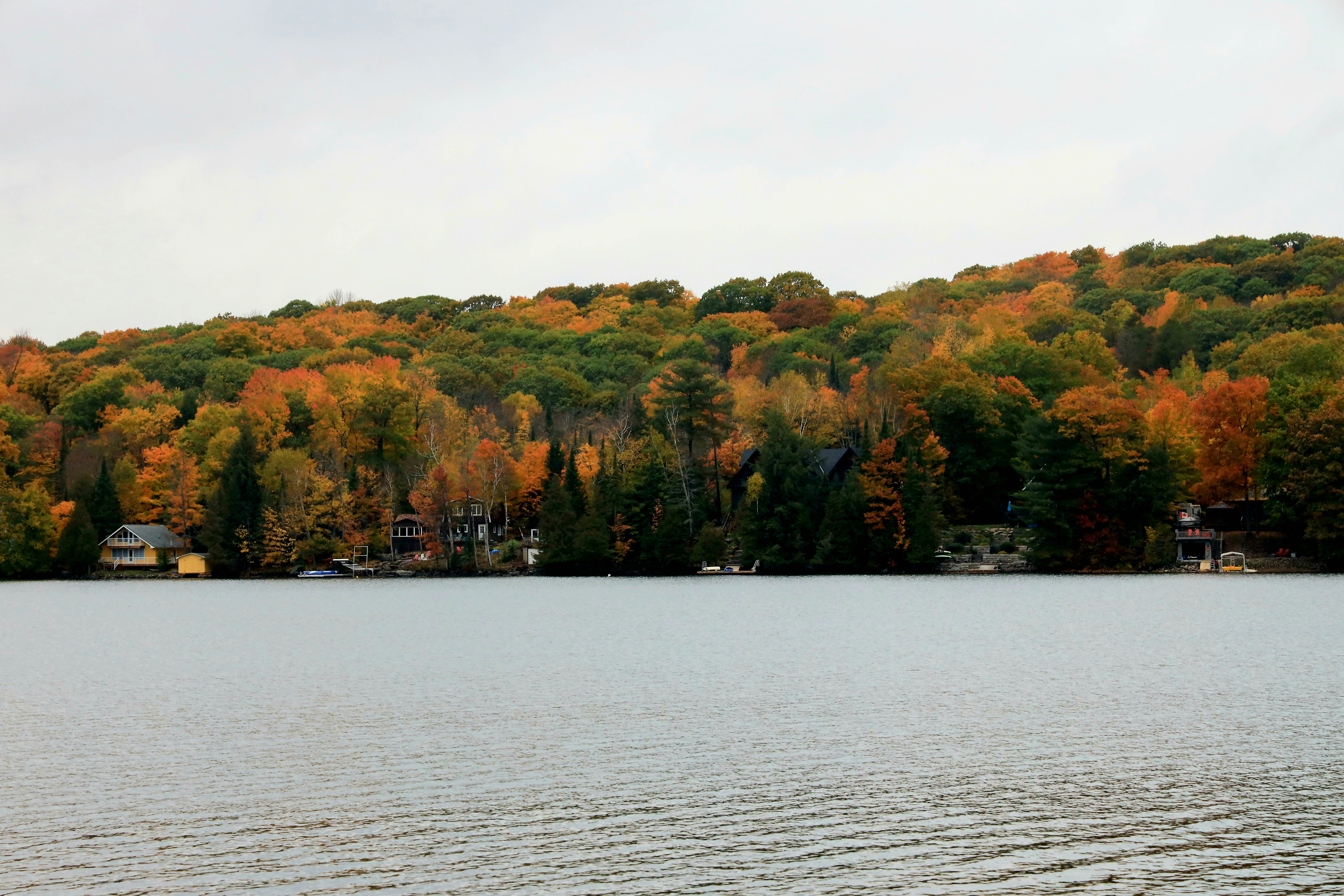 Photo by richardworks