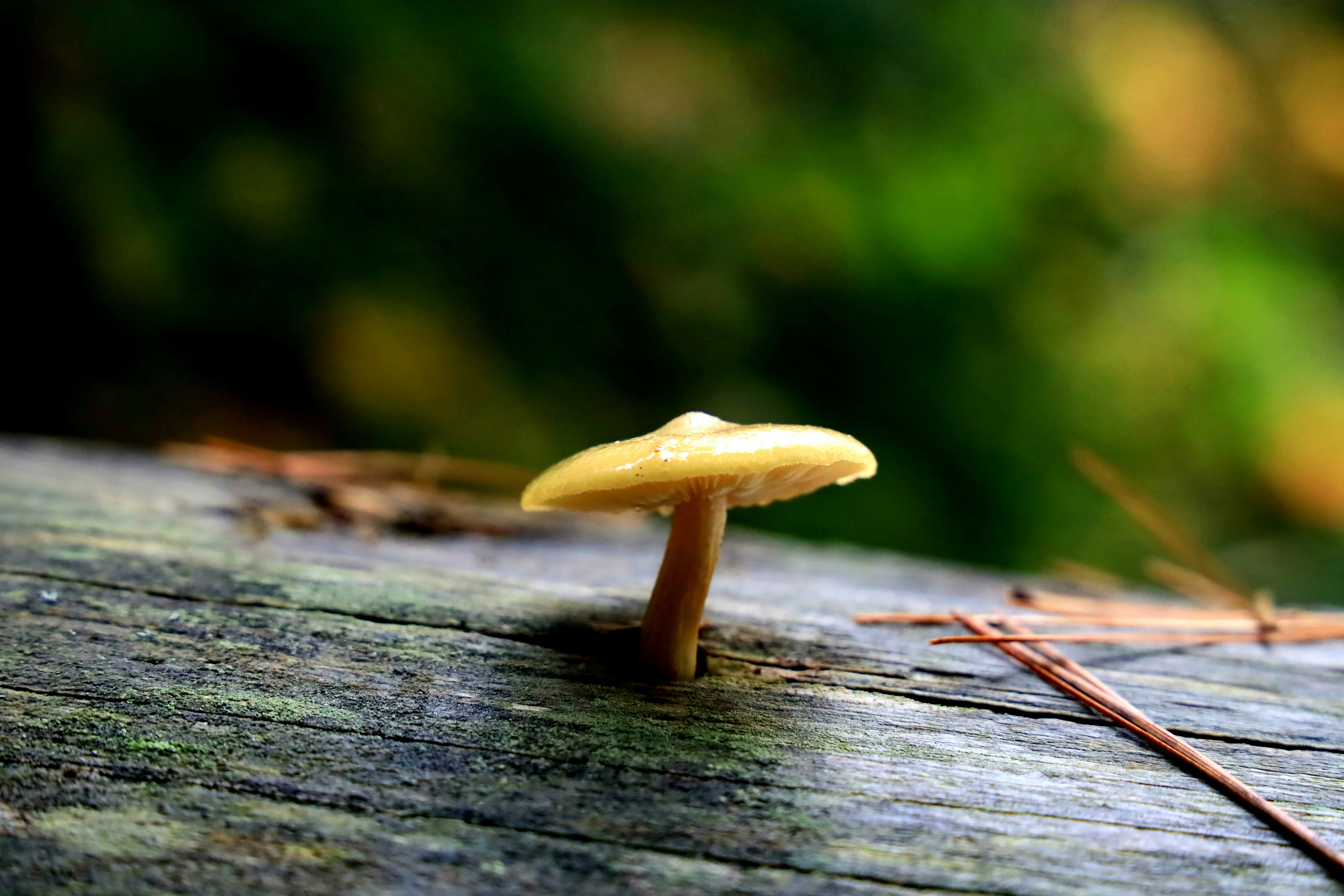 Photo by richardworks