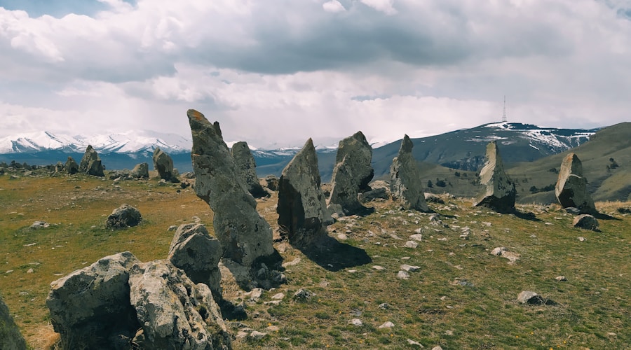 a group of rocks in a field with mountains in the background