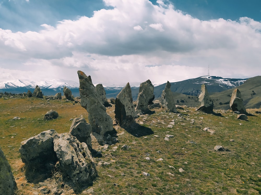 a group of rocks in a field with mountains in the background