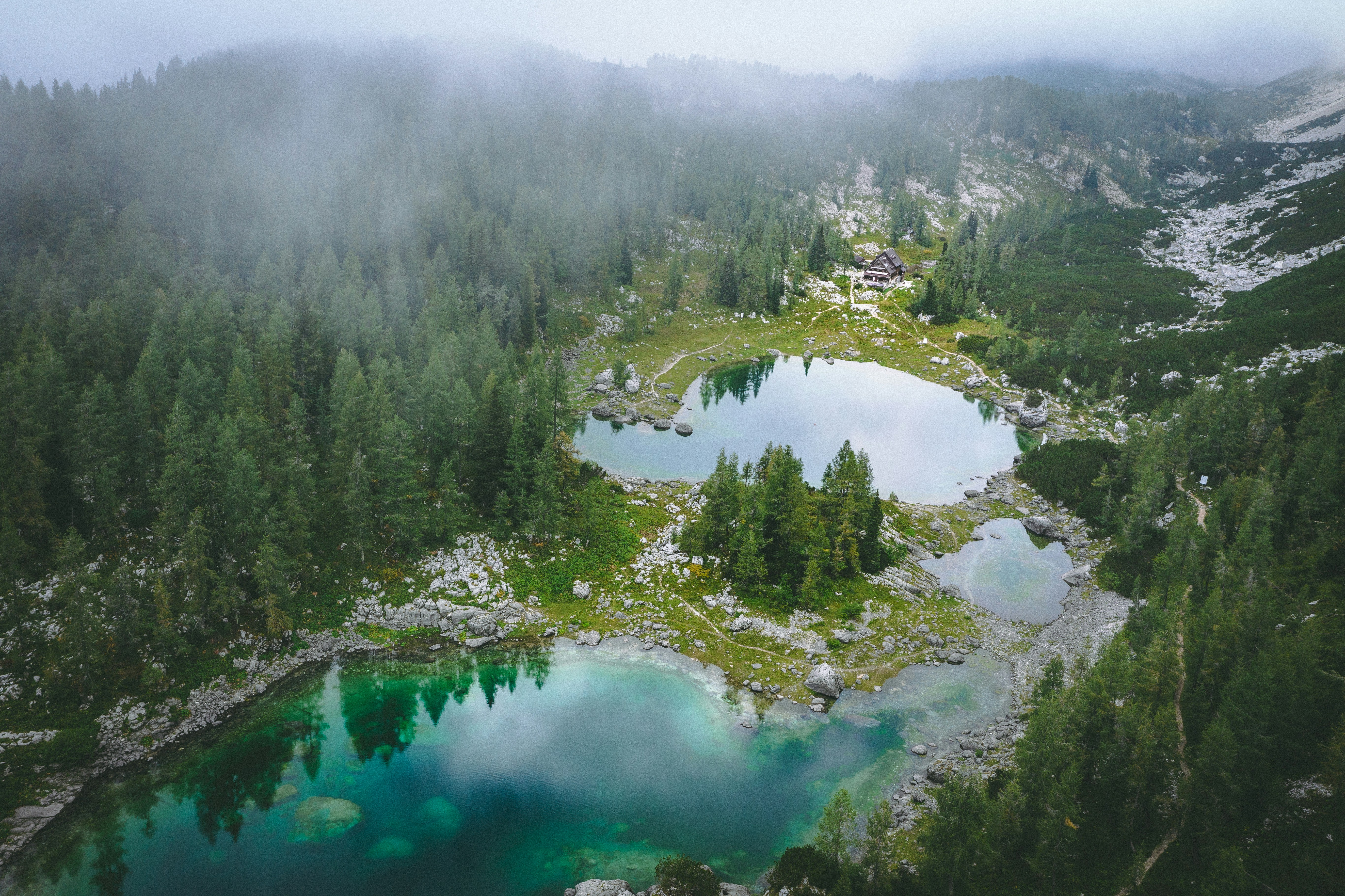 Photo by fellowferdi