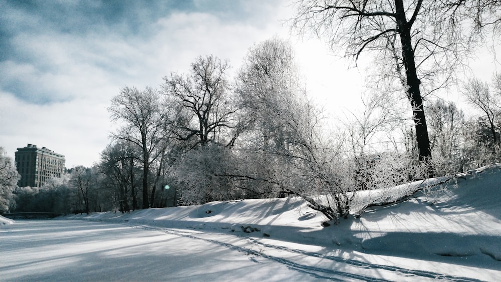 a snow covered road with trees and buildings in the background