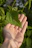 Close-up of hands gently holding fresh green leaves, symbolizing care and nature.