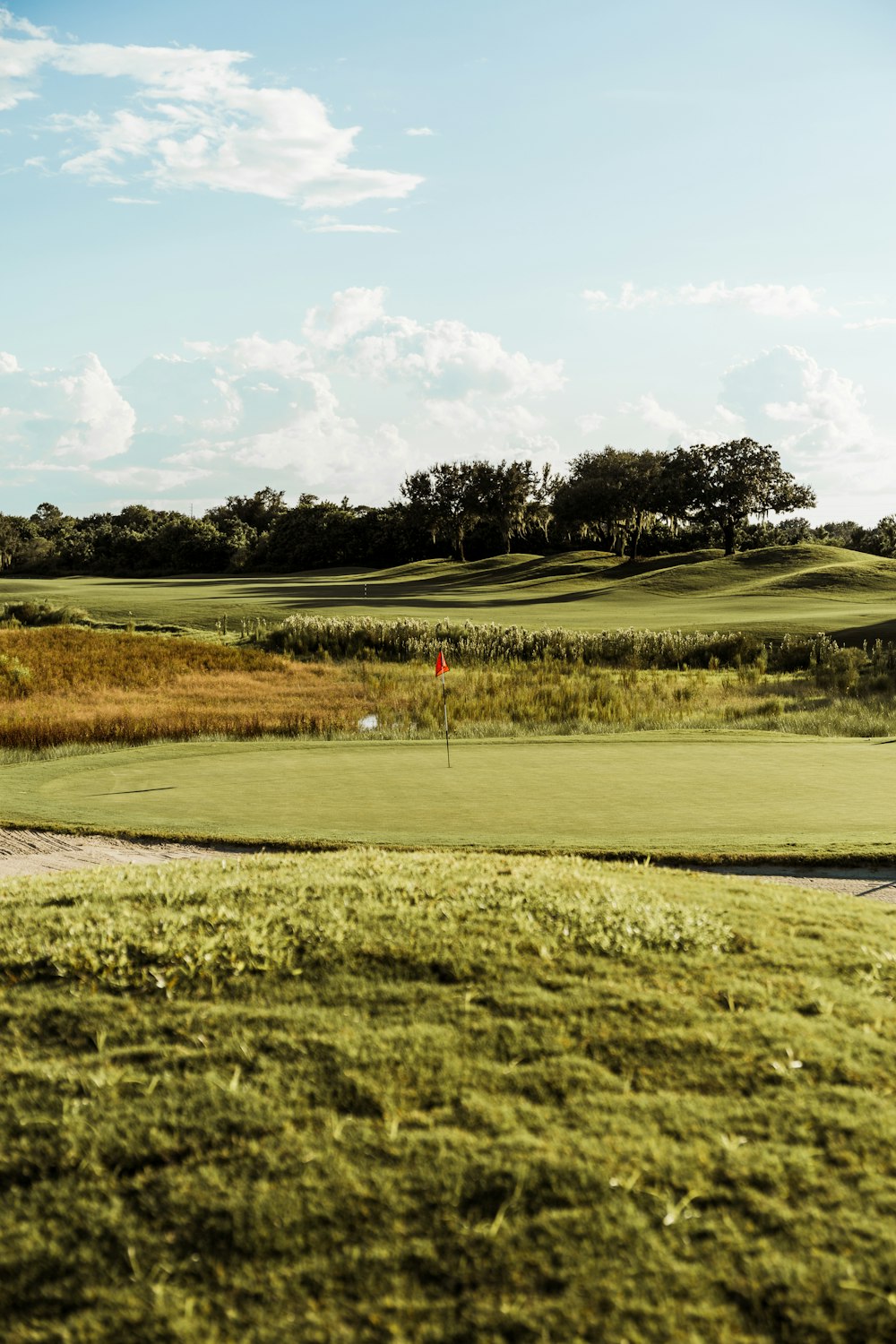 a golf course with a green and a red flag