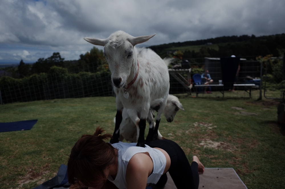 Une femme allongée sur le sol avec une chèvre sur le dos