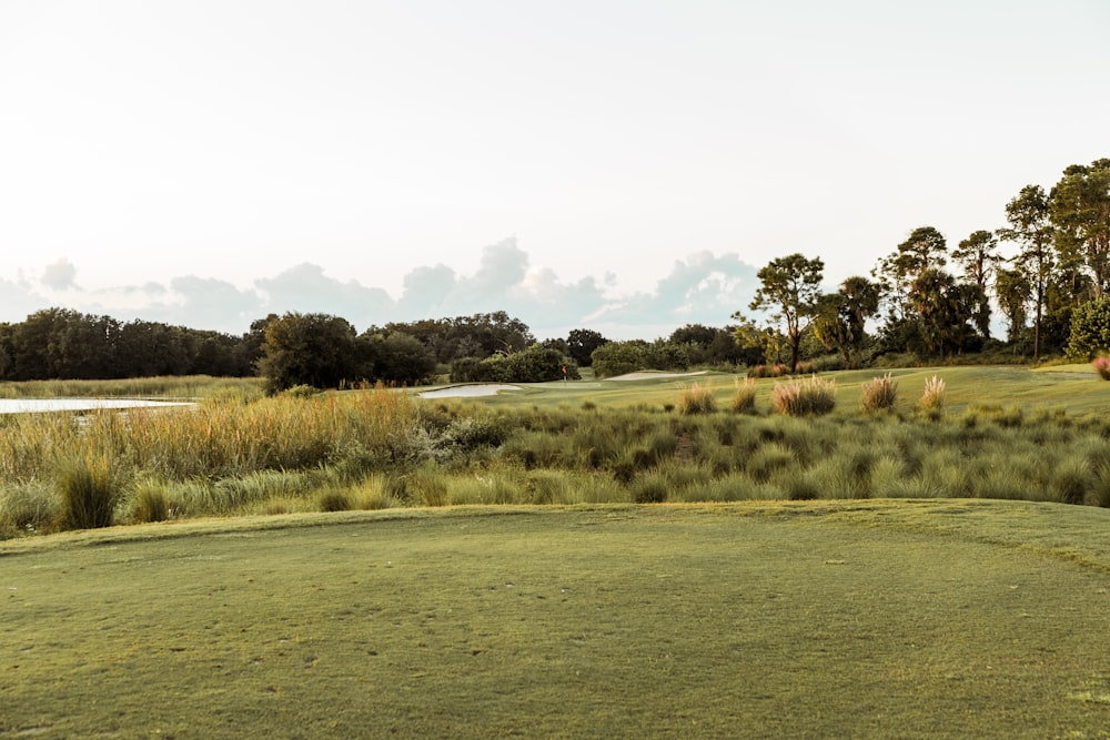 a view of a golf course with a lake in the background