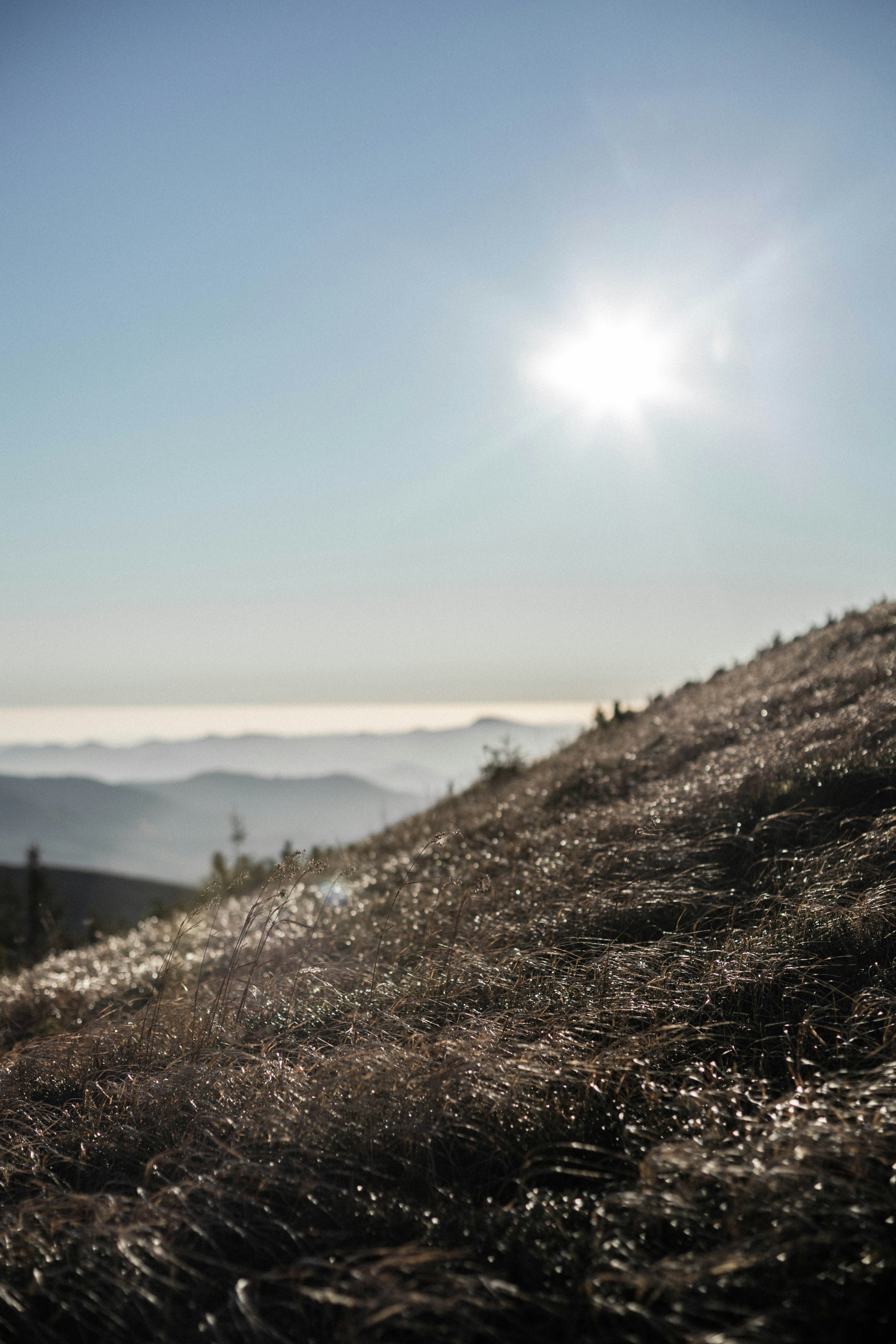 Photo by sasharubaniuk