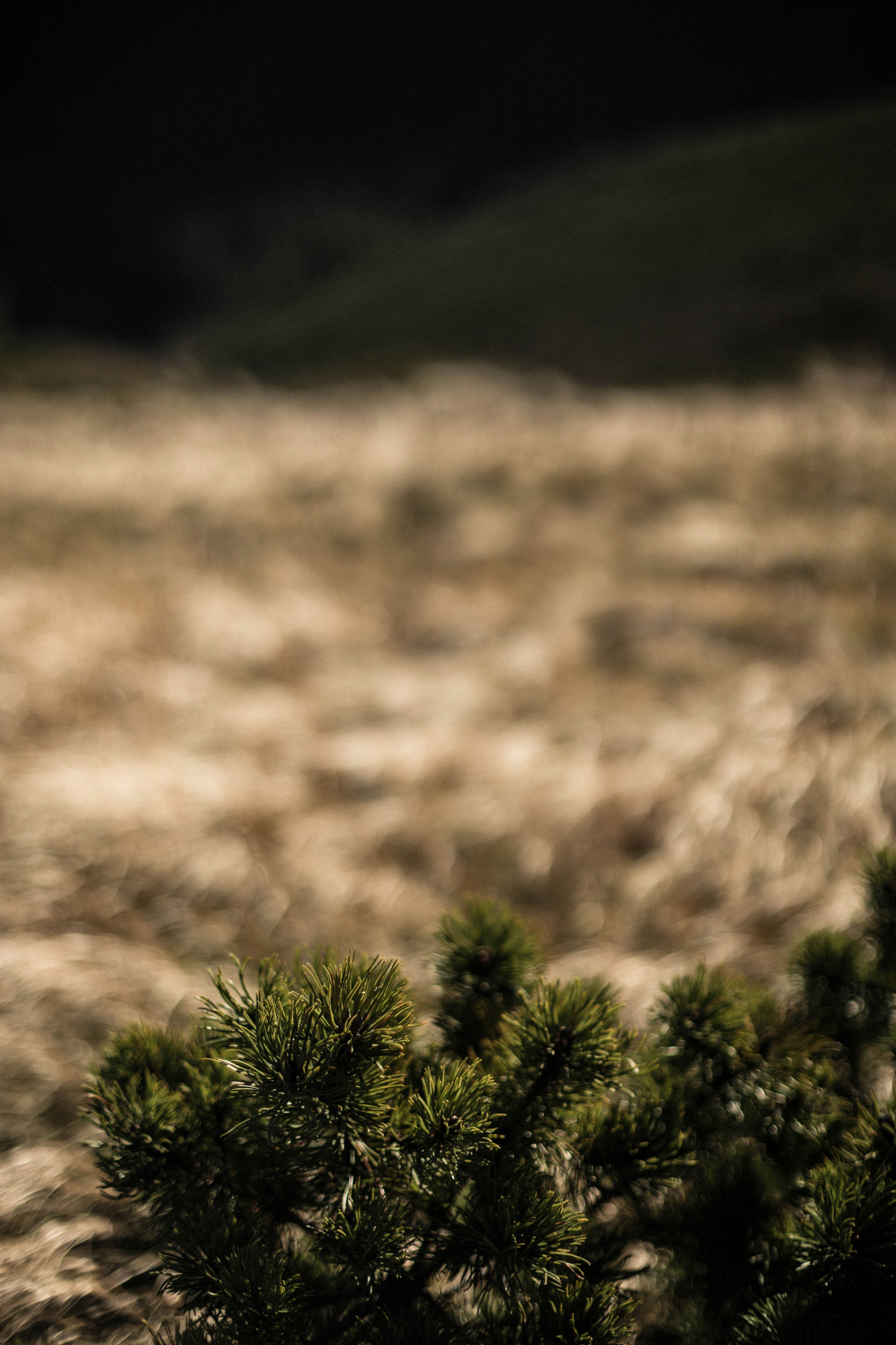 Photo by sasharubaniuk