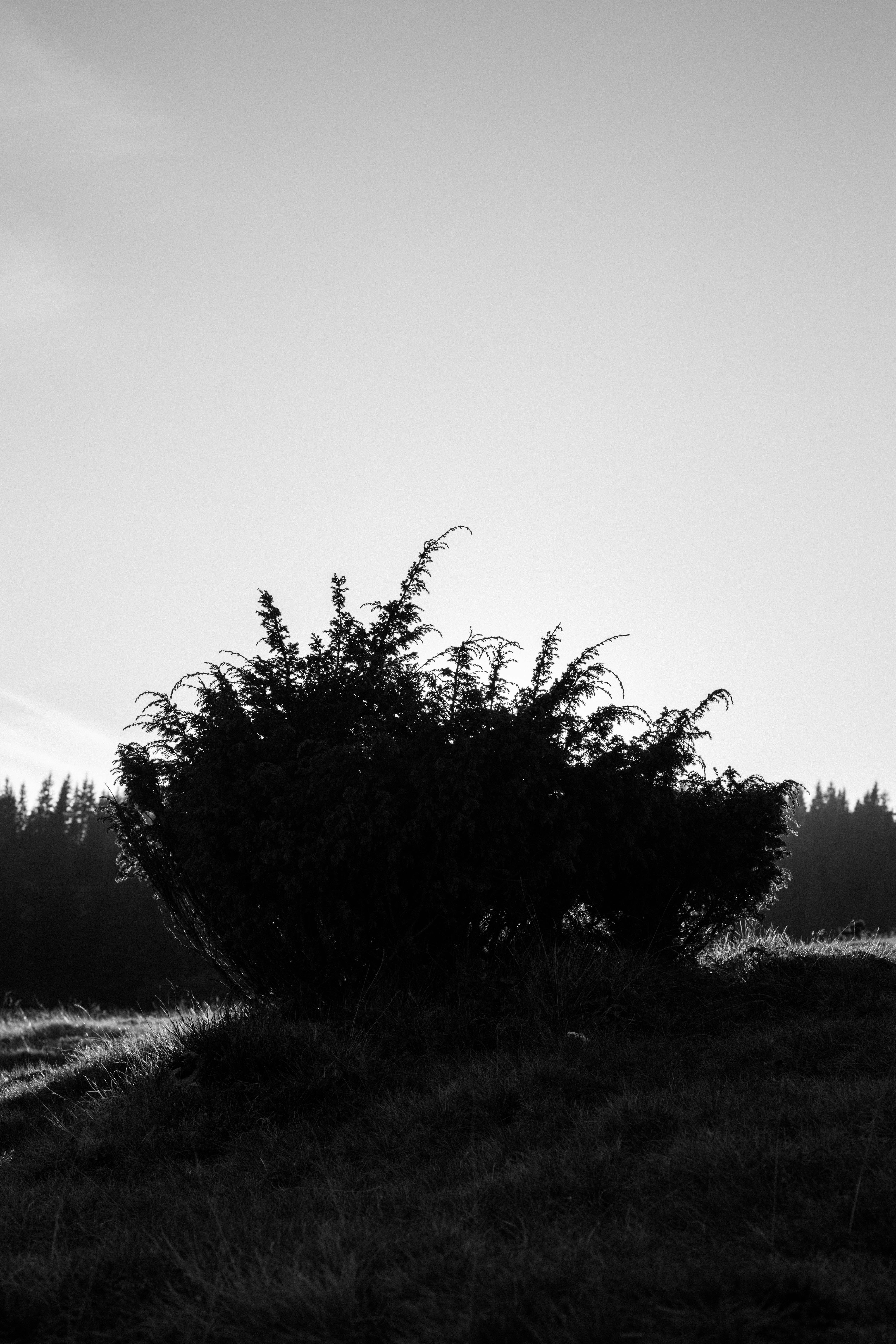 Photo by sasharubaniuk