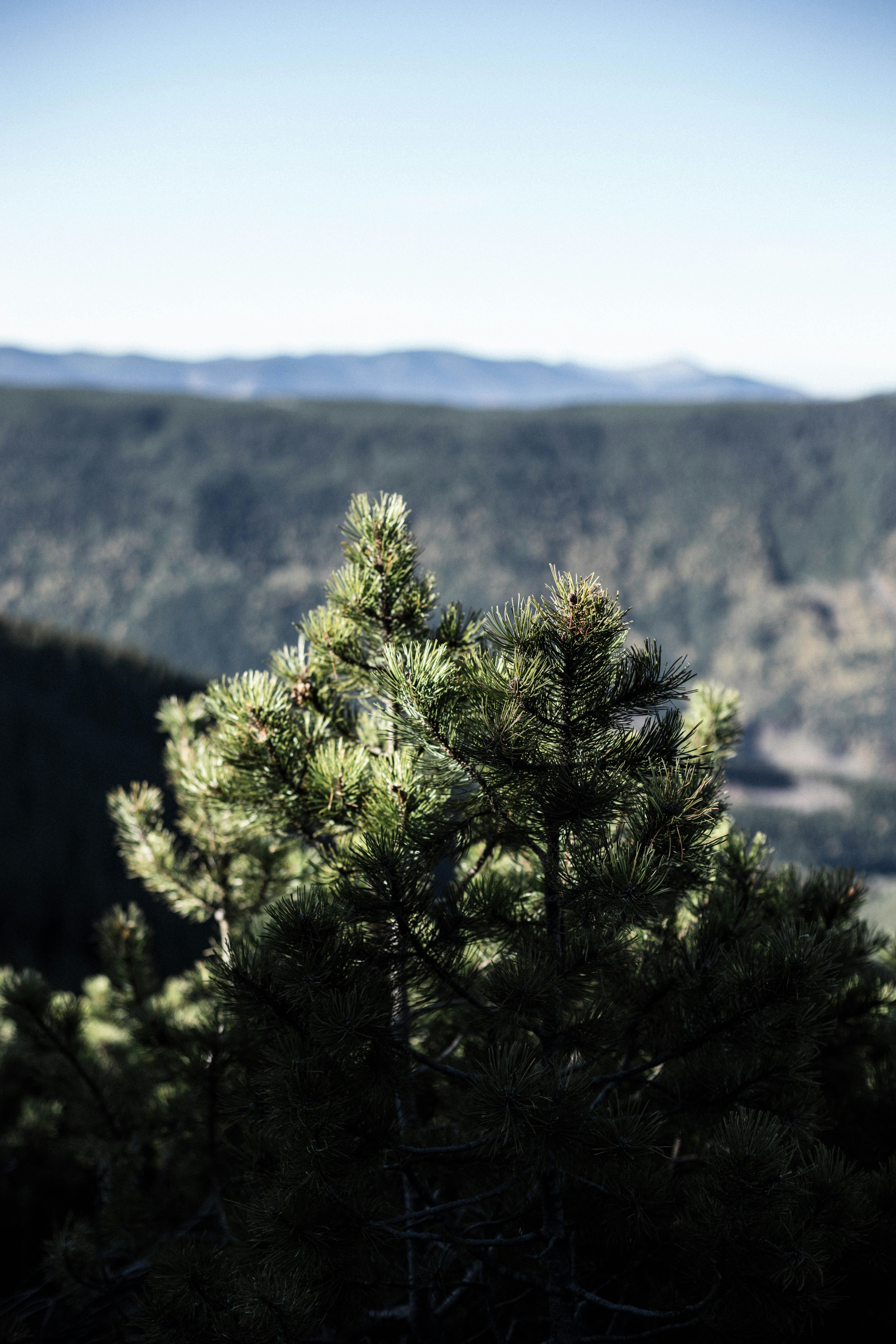 Photo by sasharubaniuk