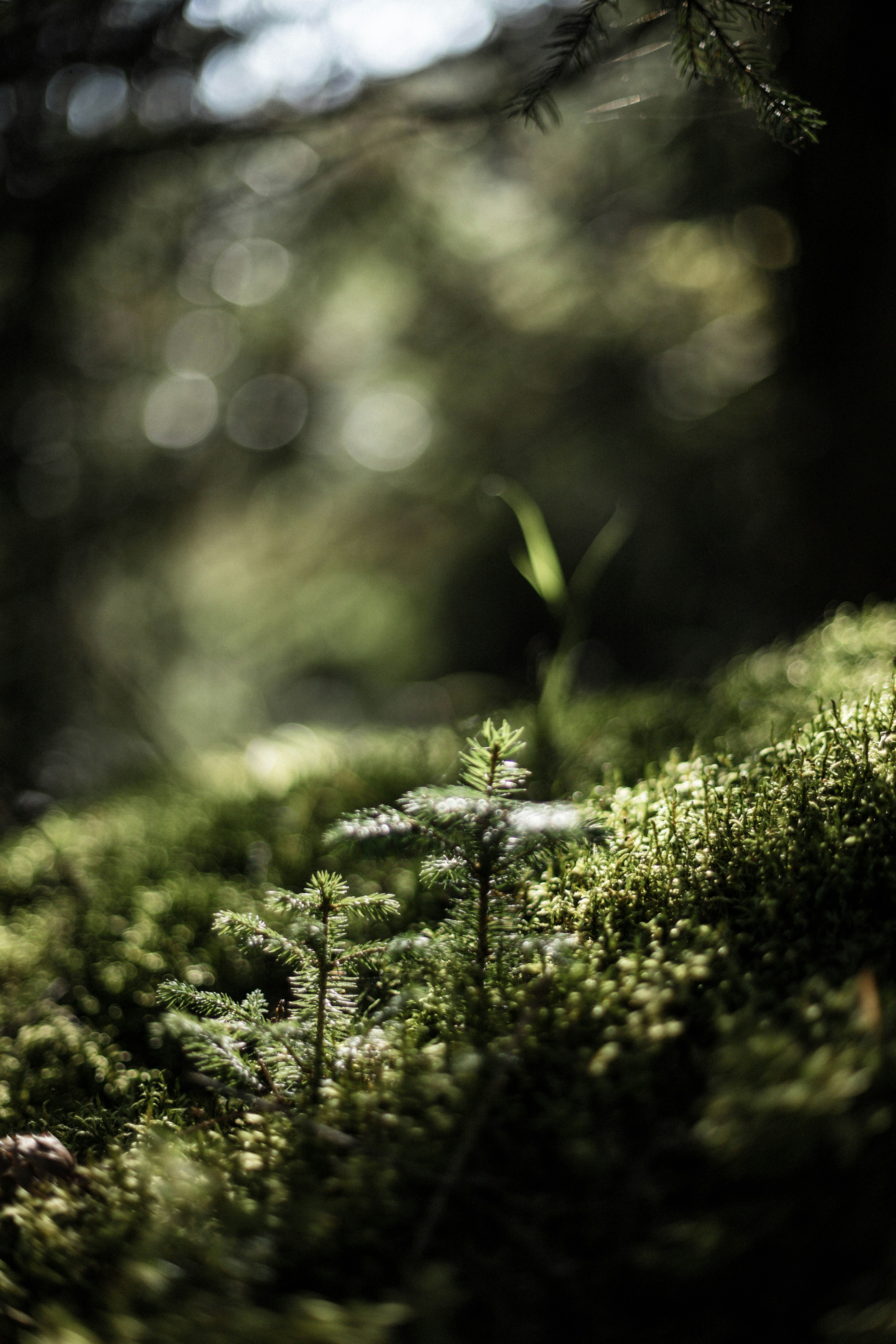 Photo by sasharubaniuk