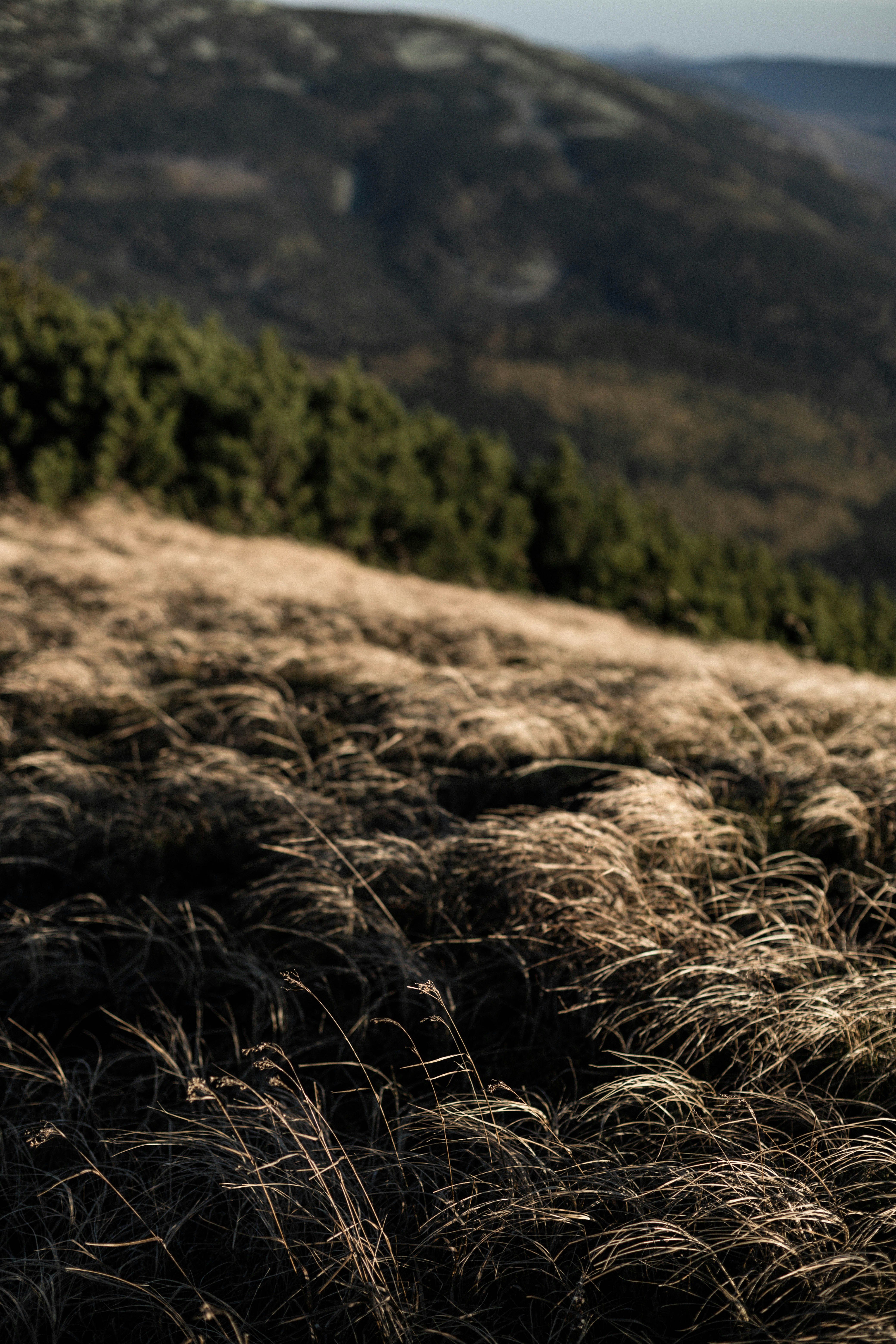 Photo by sasharubaniuk