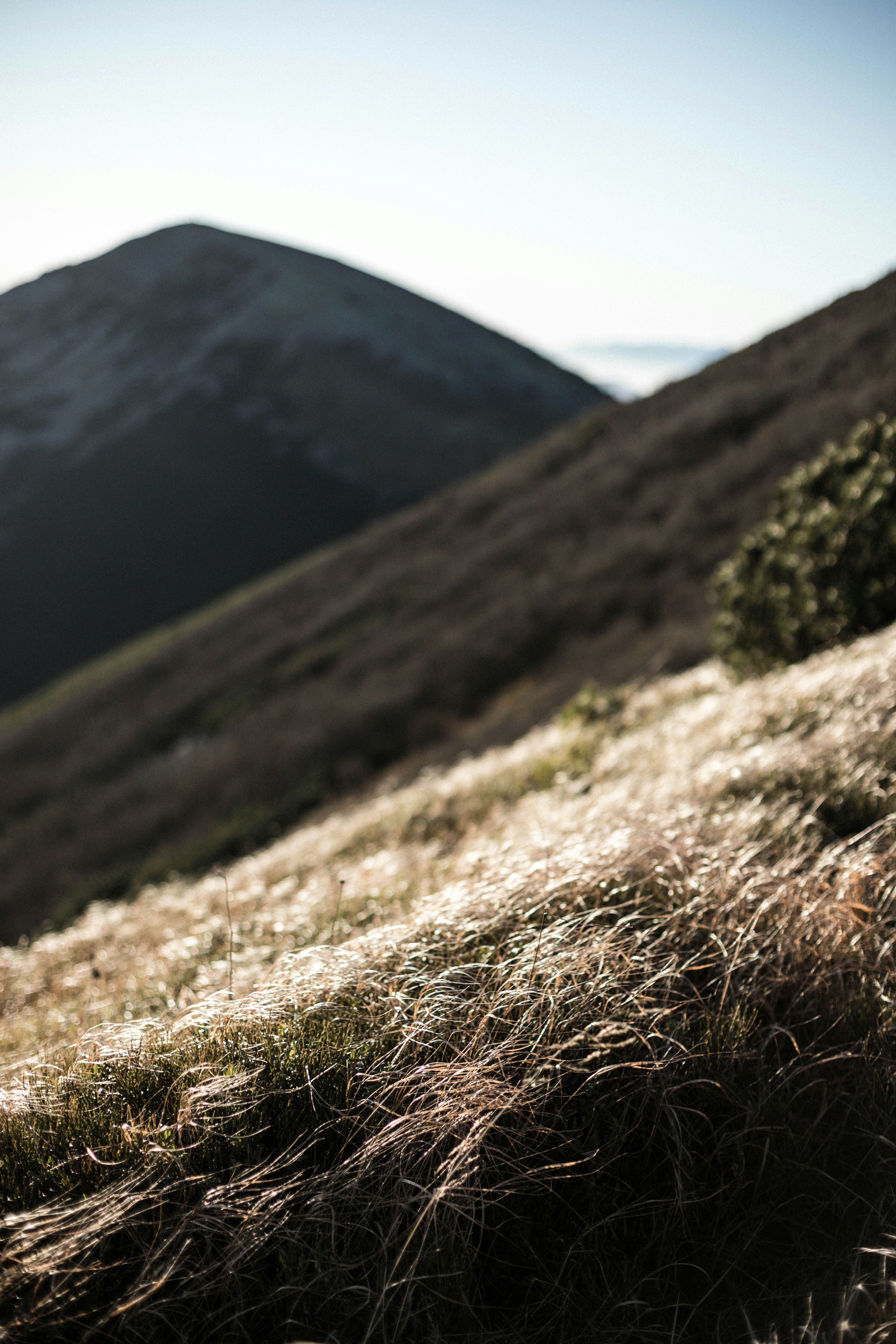 Photo by sasharubaniuk