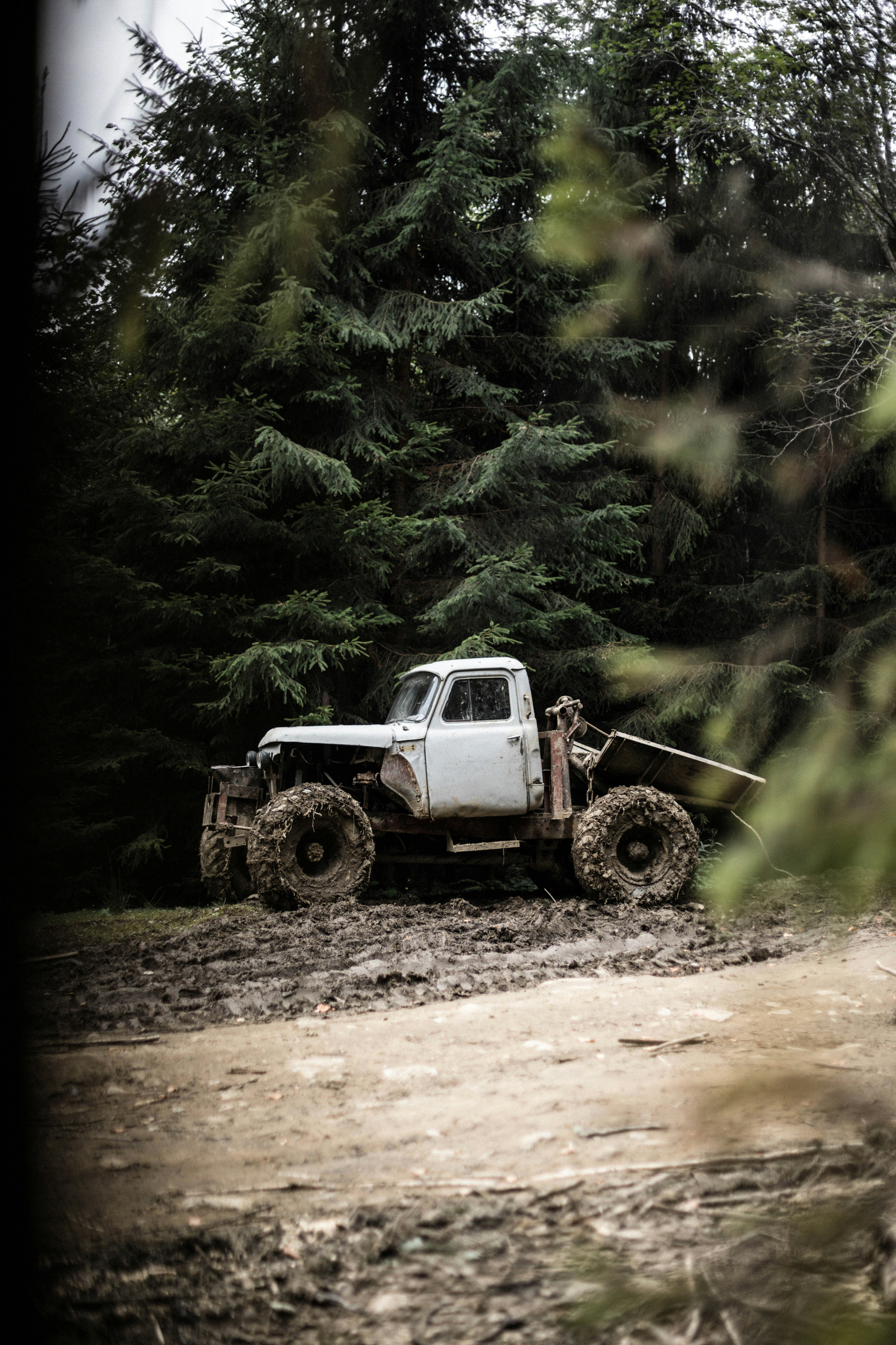 Photo by sasharubaniuk