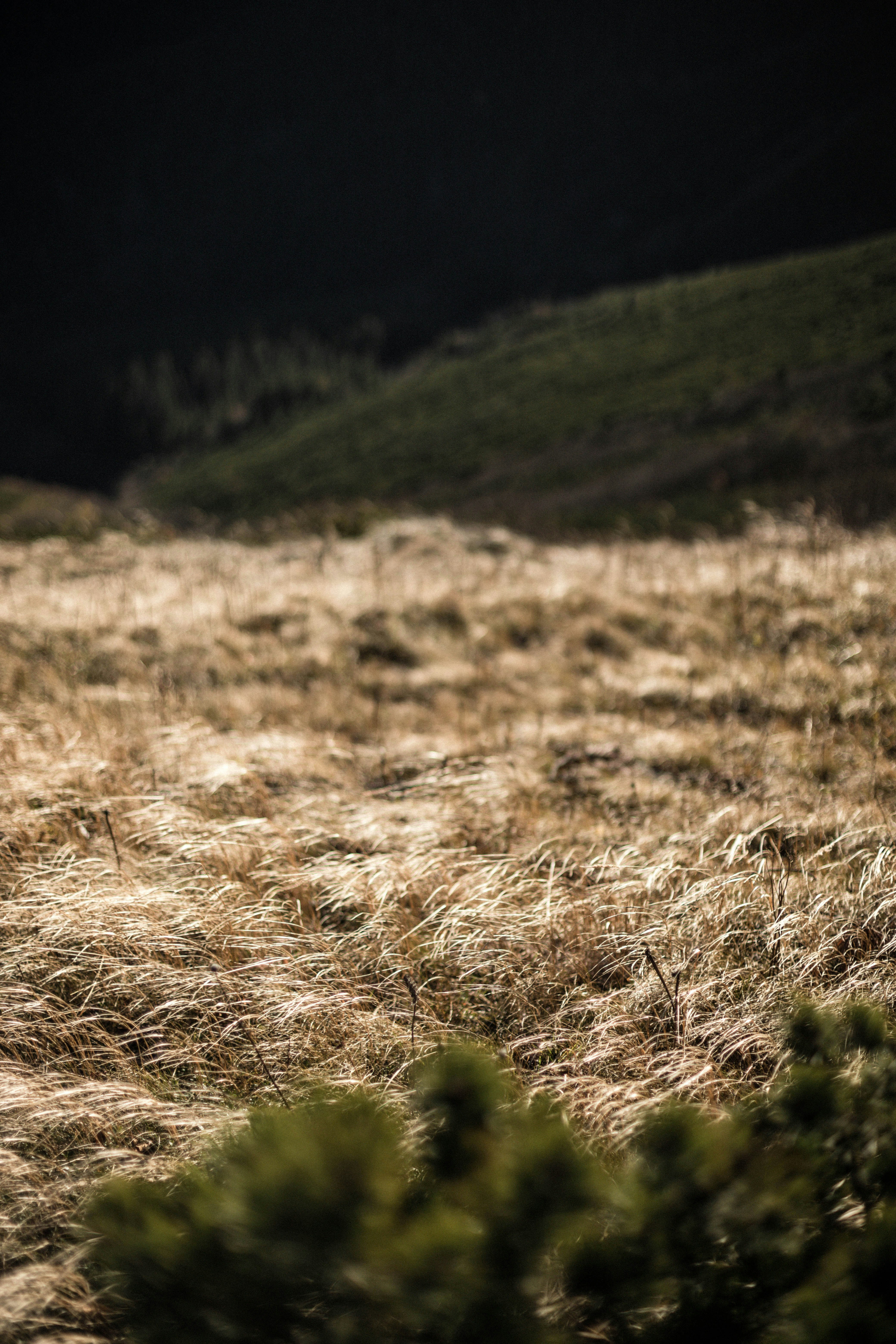 Photo by sasharubaniuk