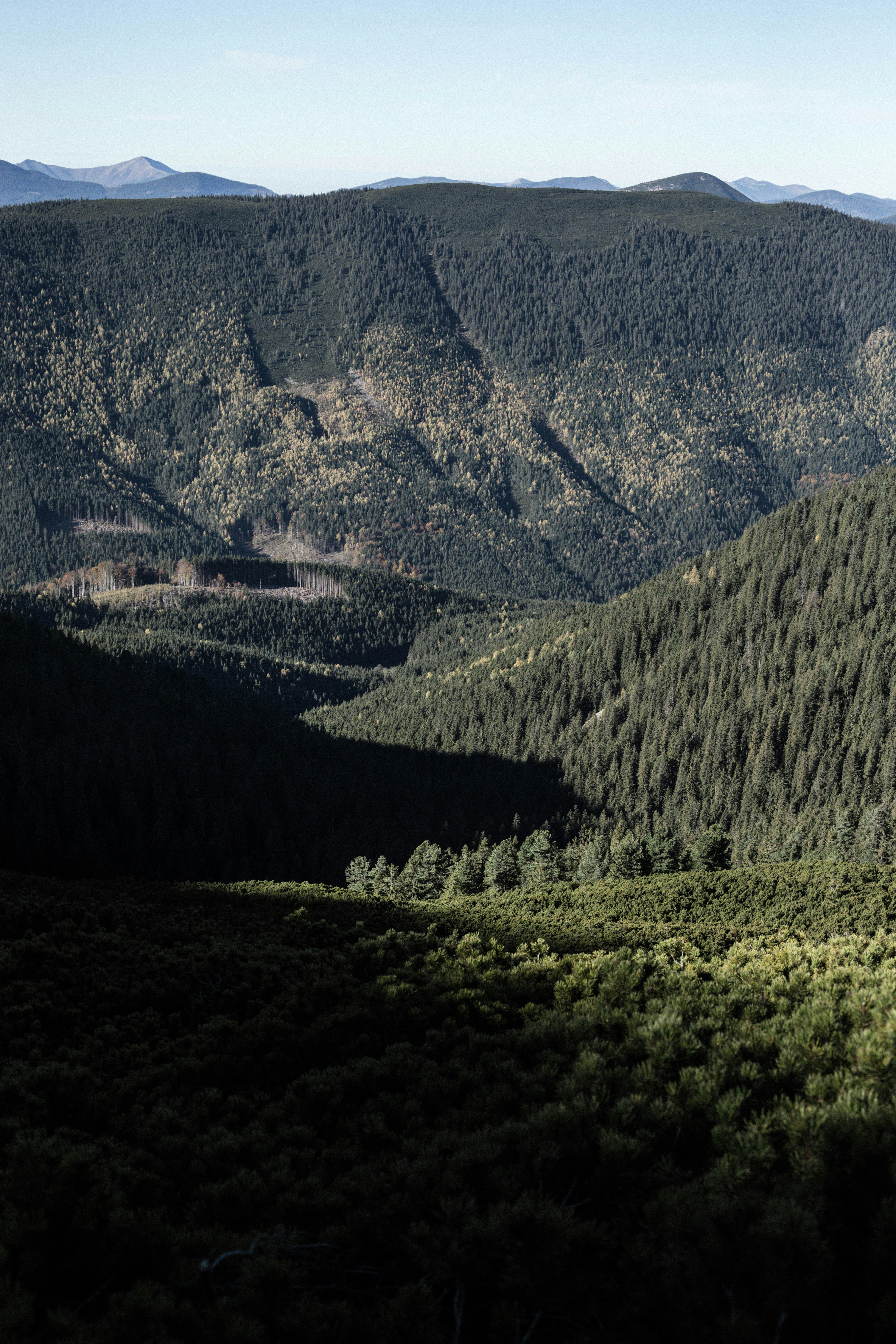 Photo by sasharubaniuk