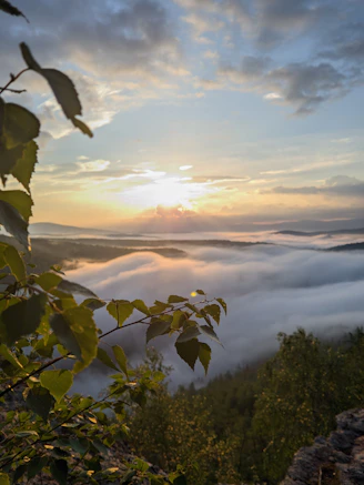 A breathtaking panoramic view of the Amazon rainforest at sunrise with mist rising over the trees.