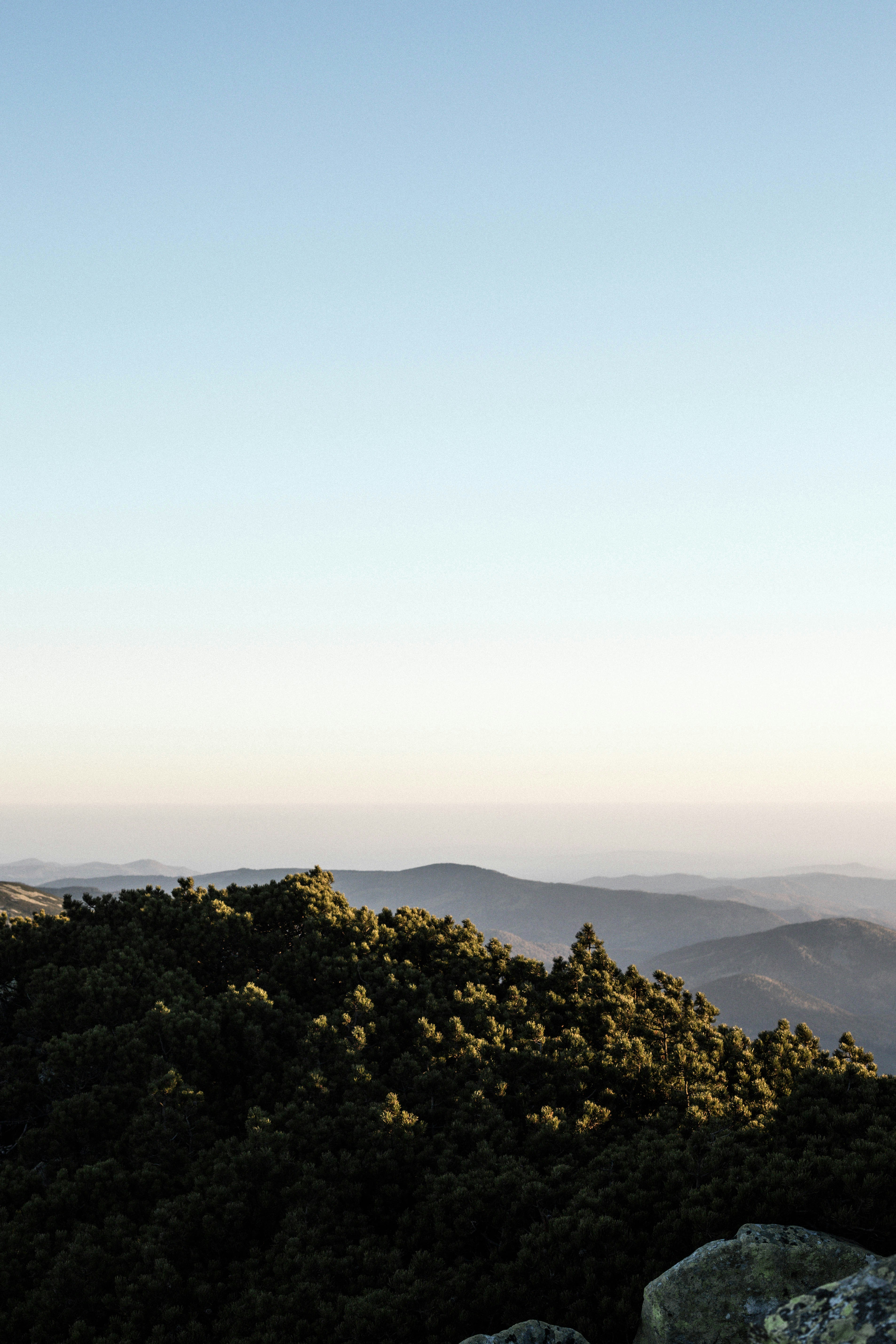 Photo by sasharubaniuk