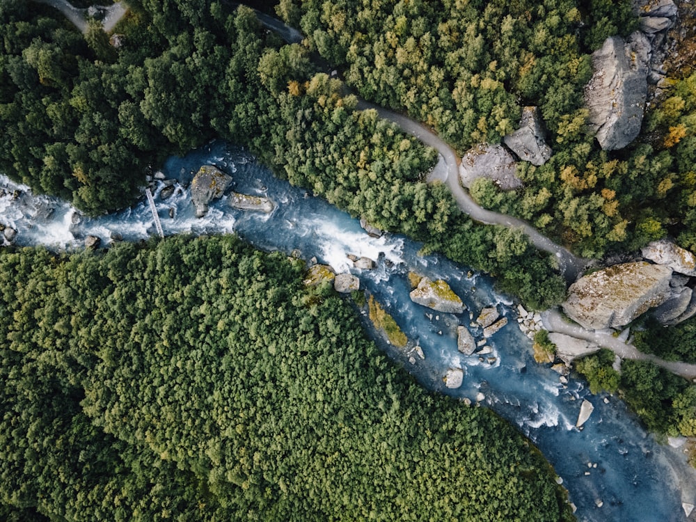 an aerial view of a river running through a forest