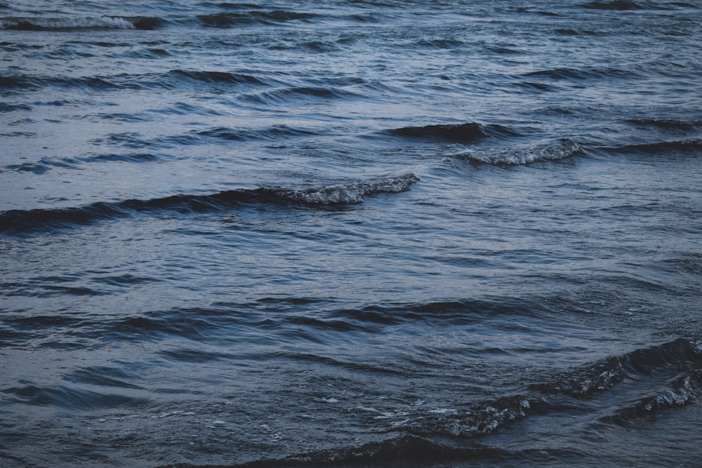 uno specchio d'acqua che ha alcune onde in esso