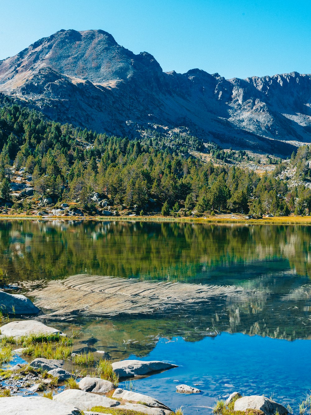 um lago de montanha cercado por árvores e rochas