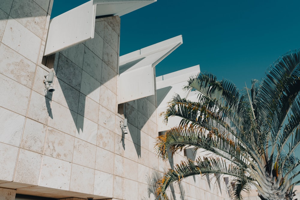 a building with a palm tree in front of it