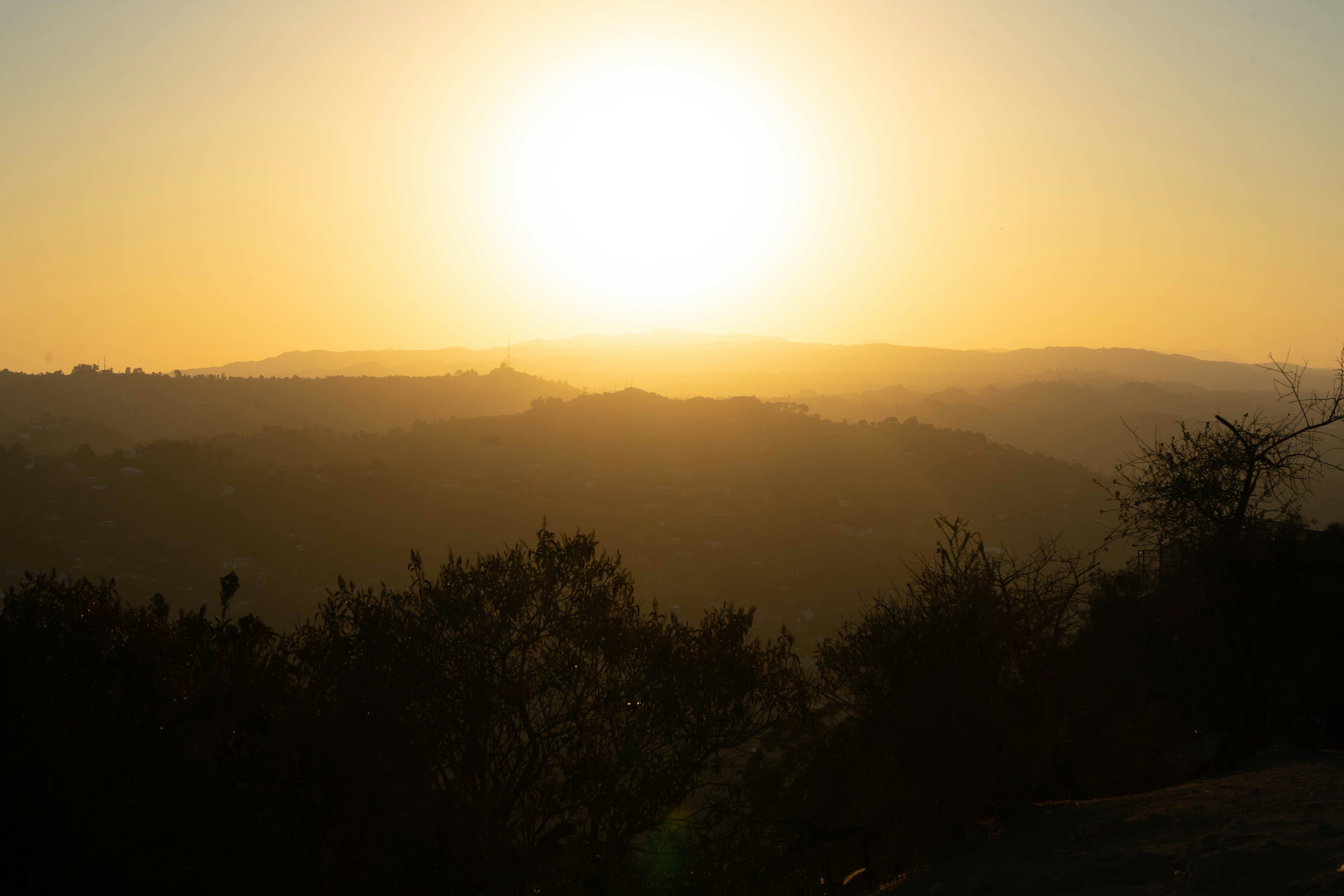 Photo by elmercanasjr