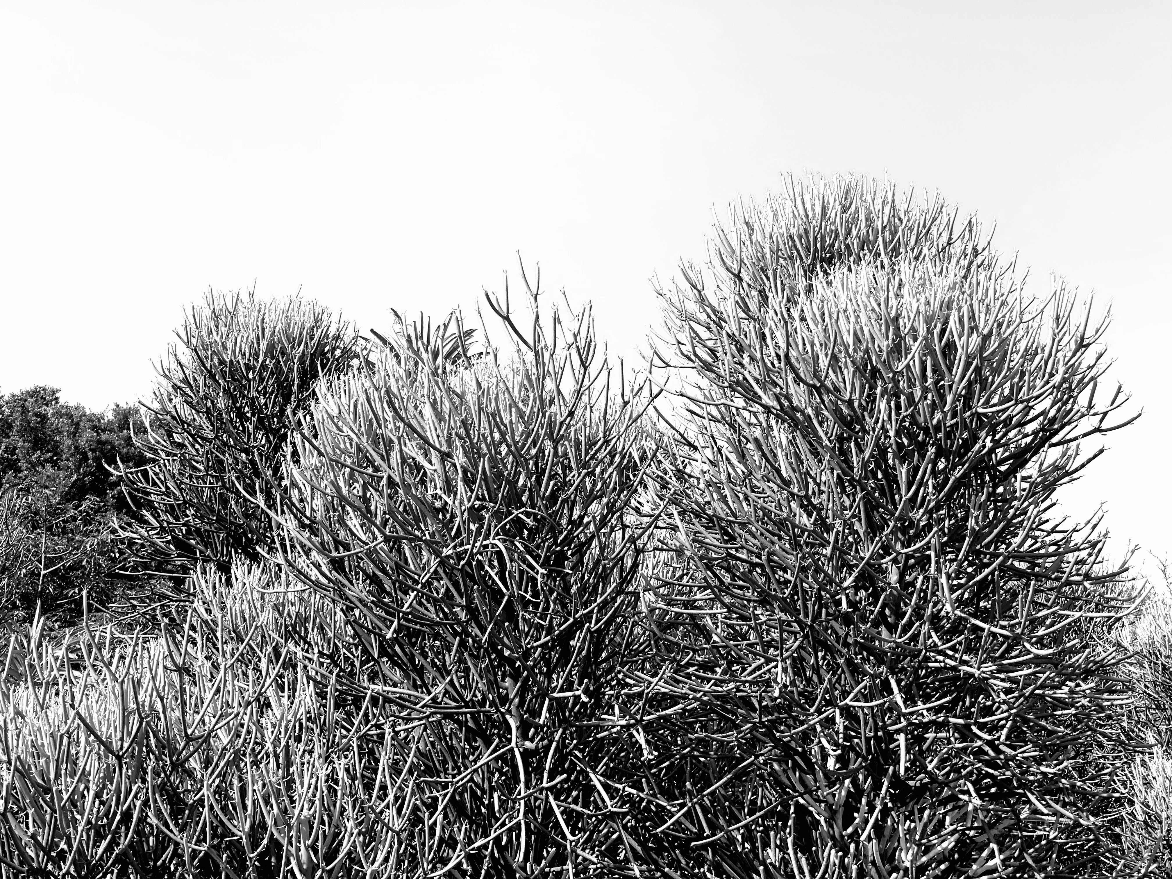 Photo by yingchih_hao