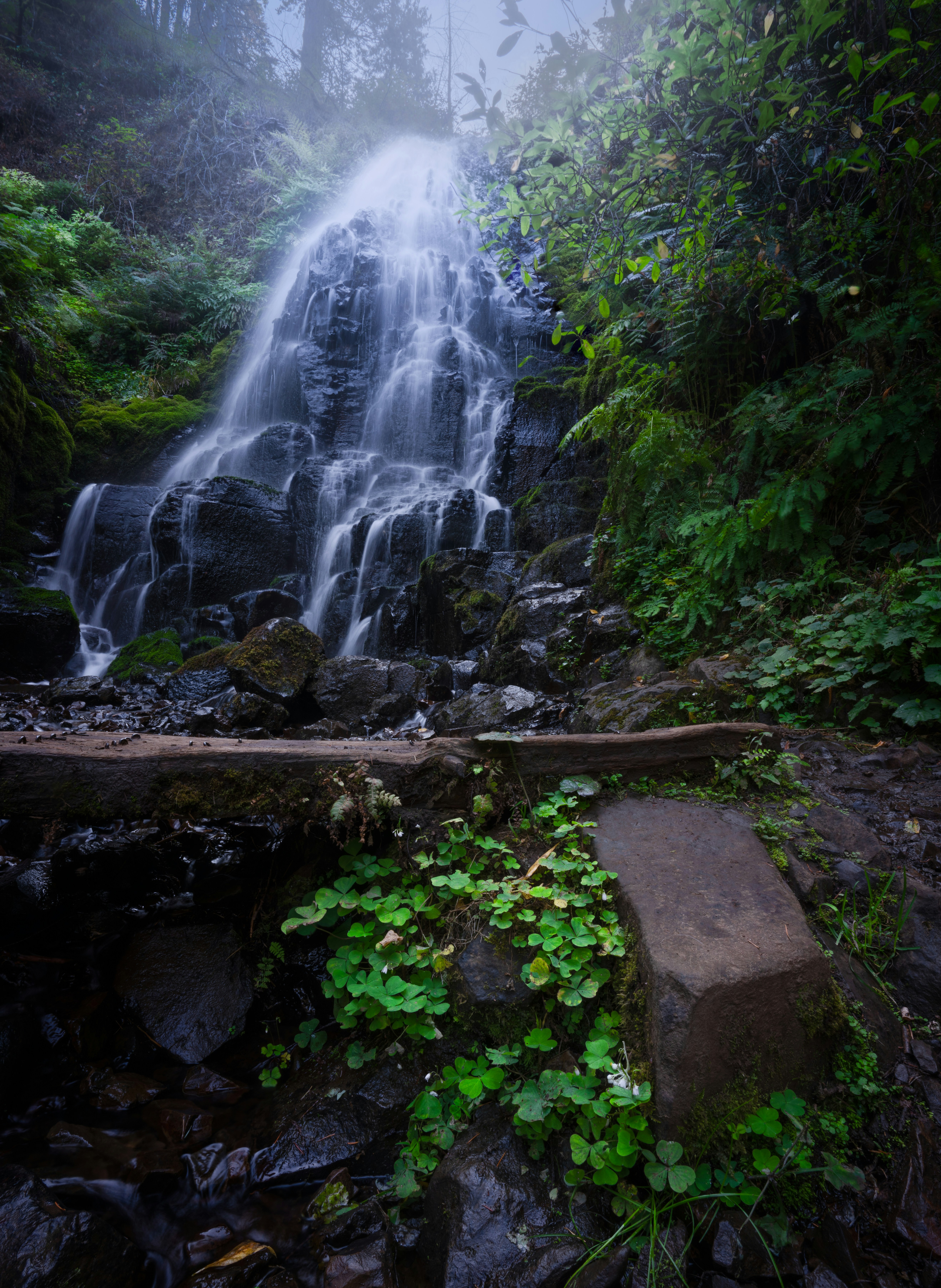 Photo by intricateexplorer