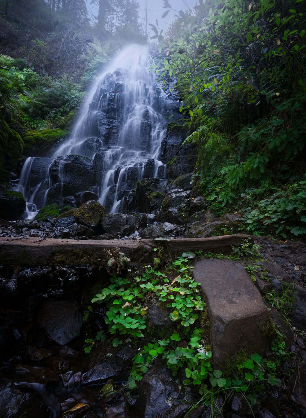 a large waterfall in the middle of a forest