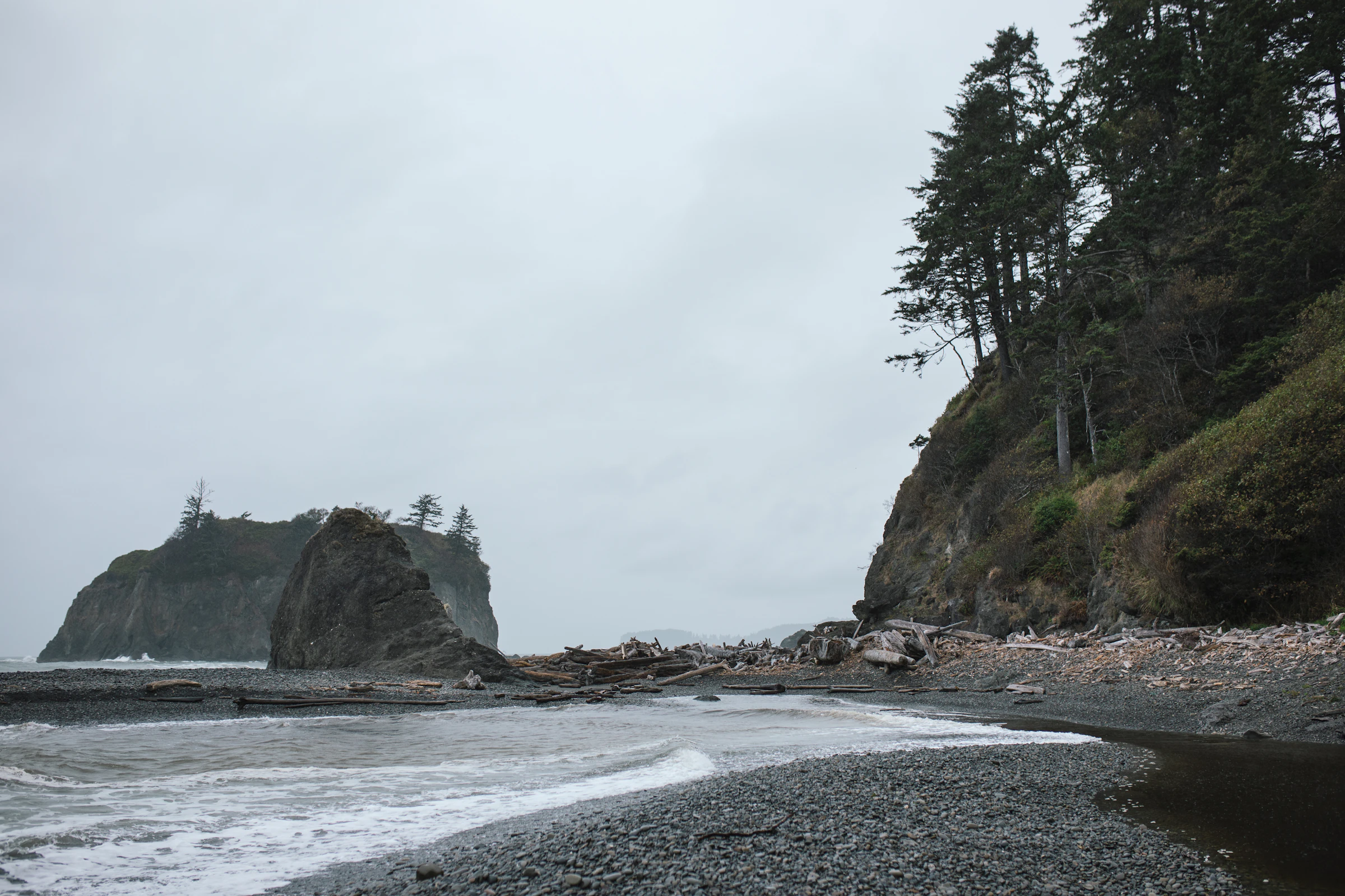 Discover Seabrook, Washington: The Pacific Northwest's Most Charming Beach Town