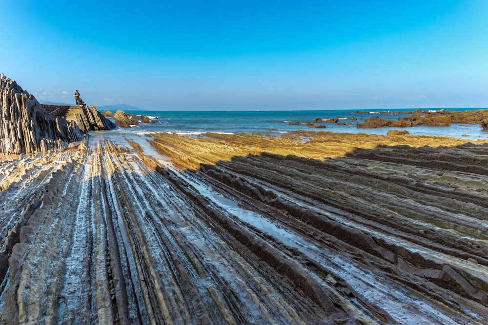 a beach covered in lots of seaweed next to the ocean