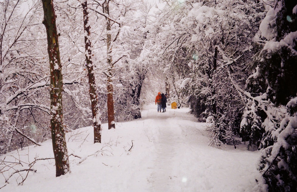 a couple of people walking down a snow covered road