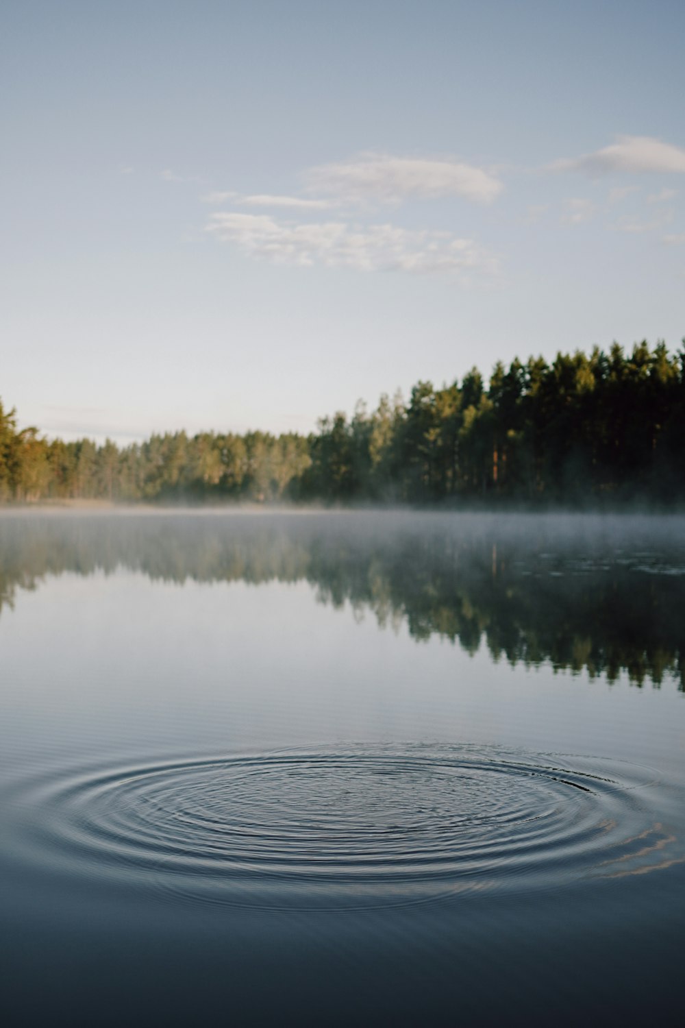 a large body of water surrounded by trees