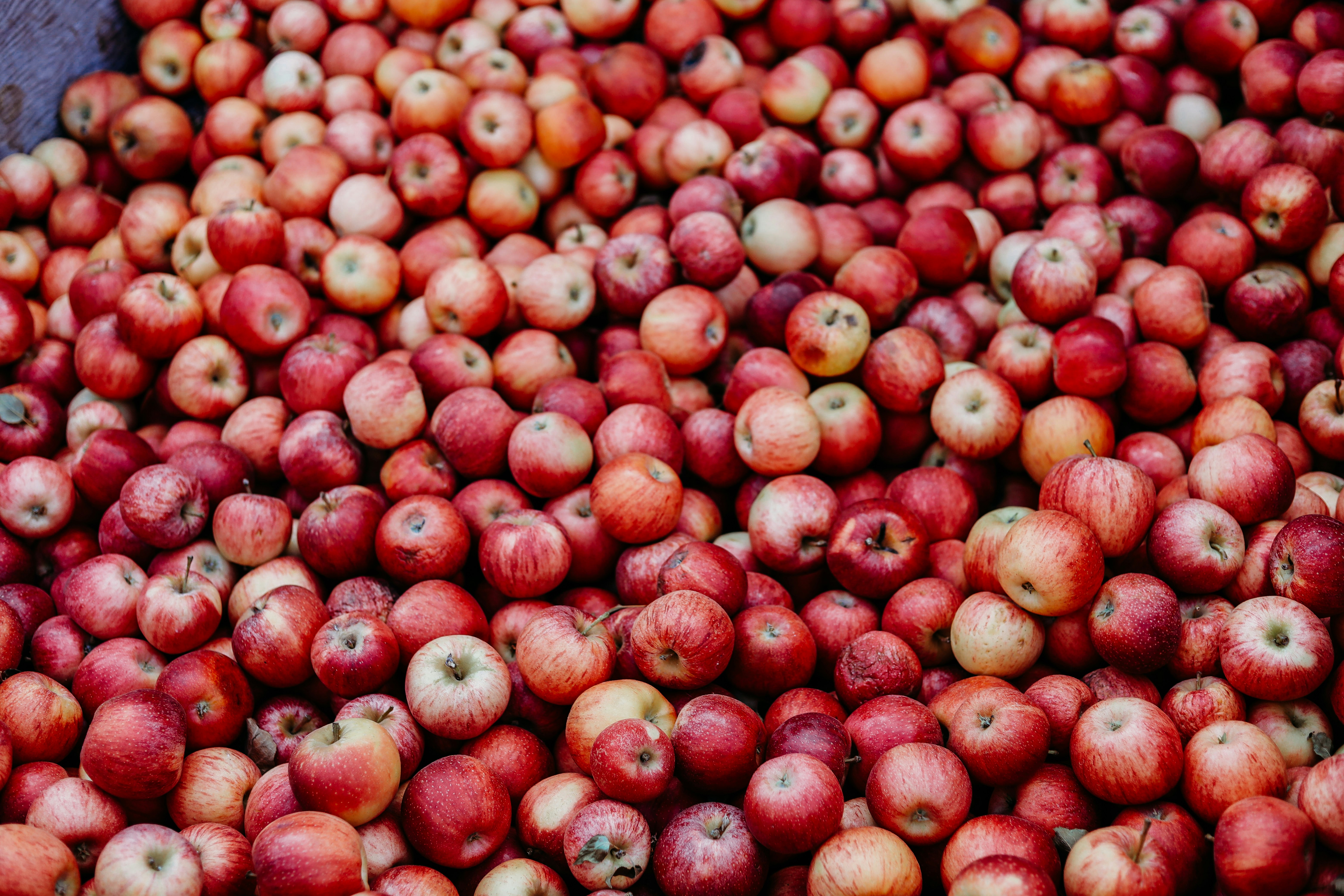 Photo by craigpattenaude