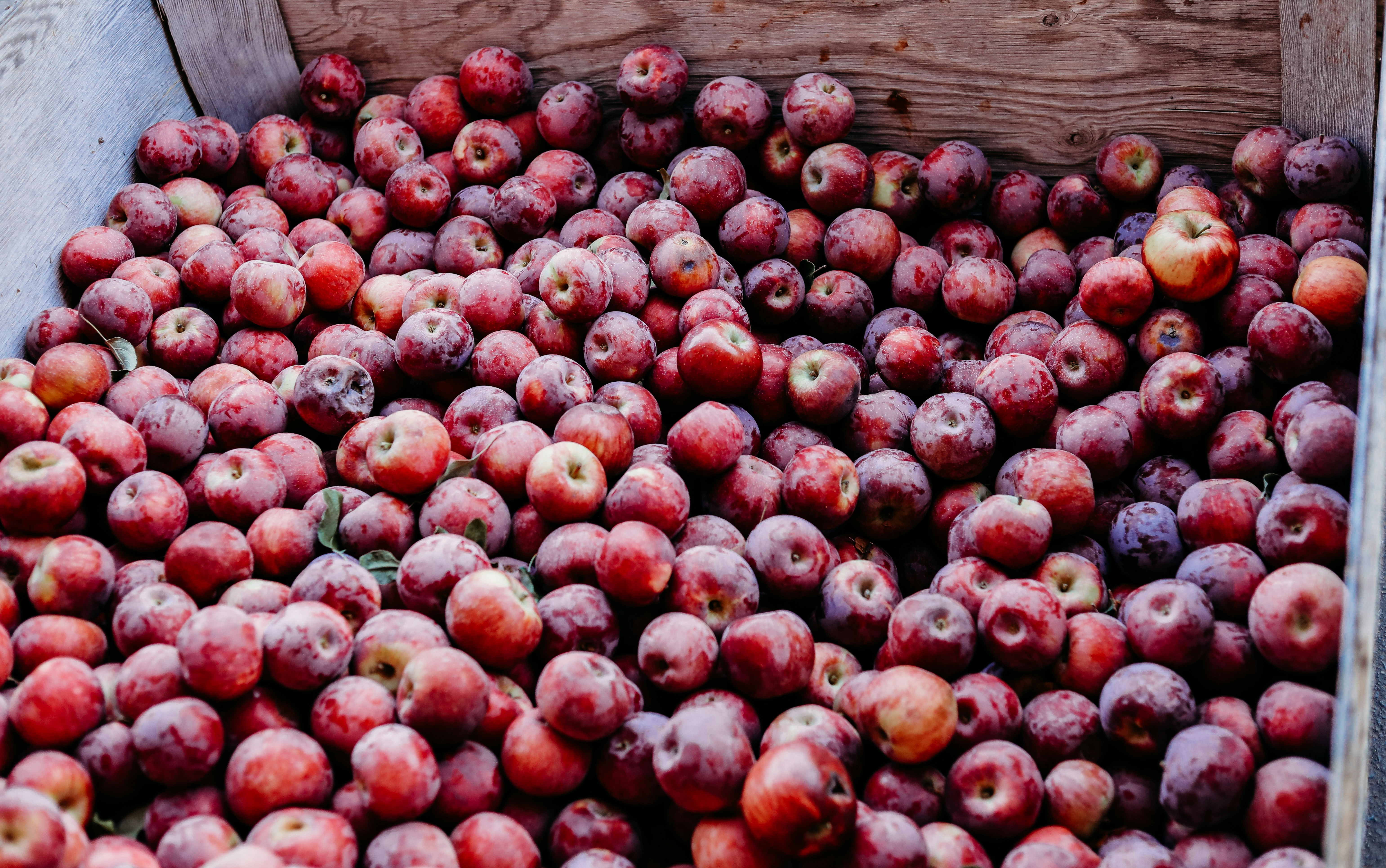 Photo by craigpattenaude