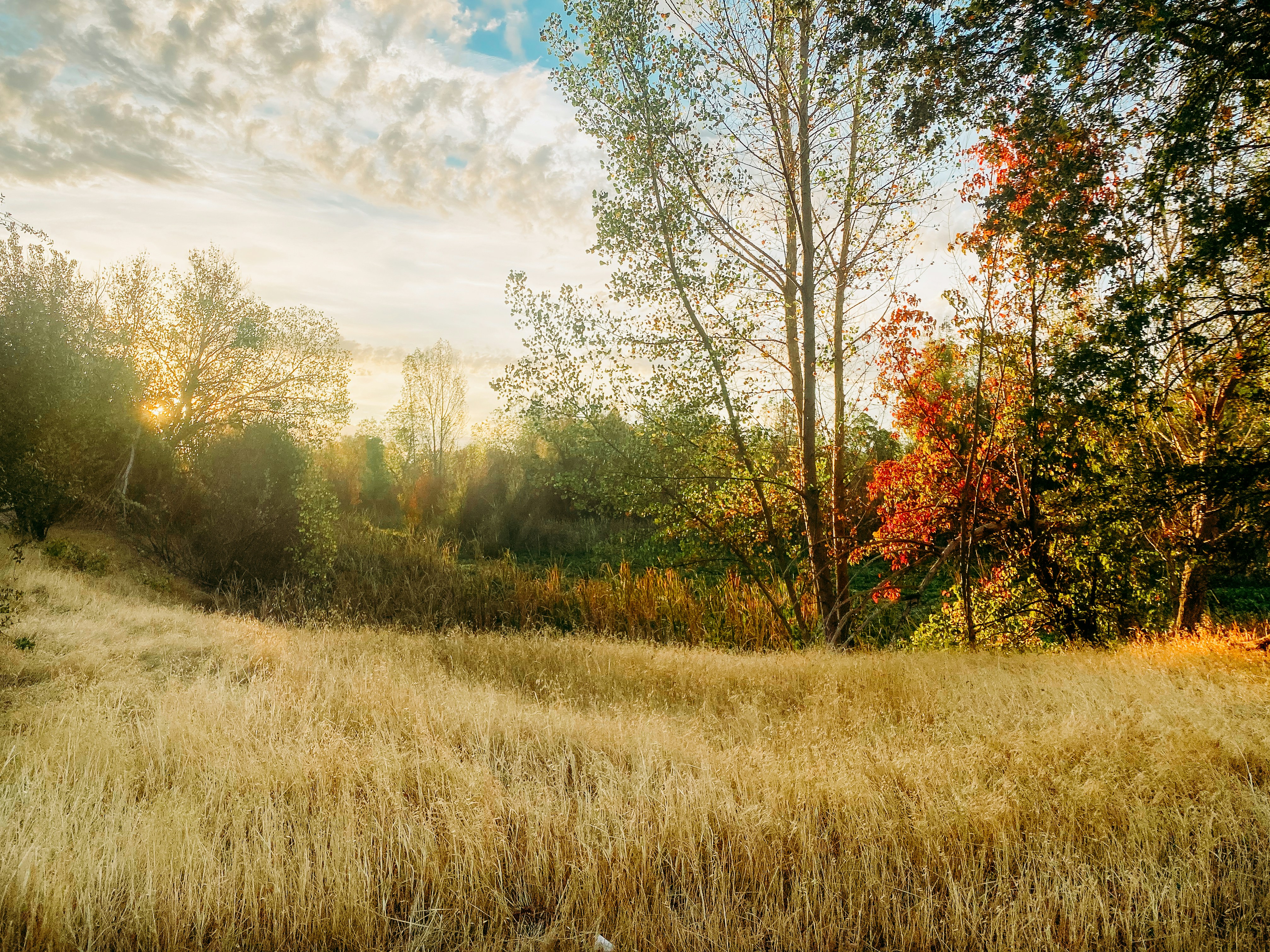 Photo by craigpattenaude