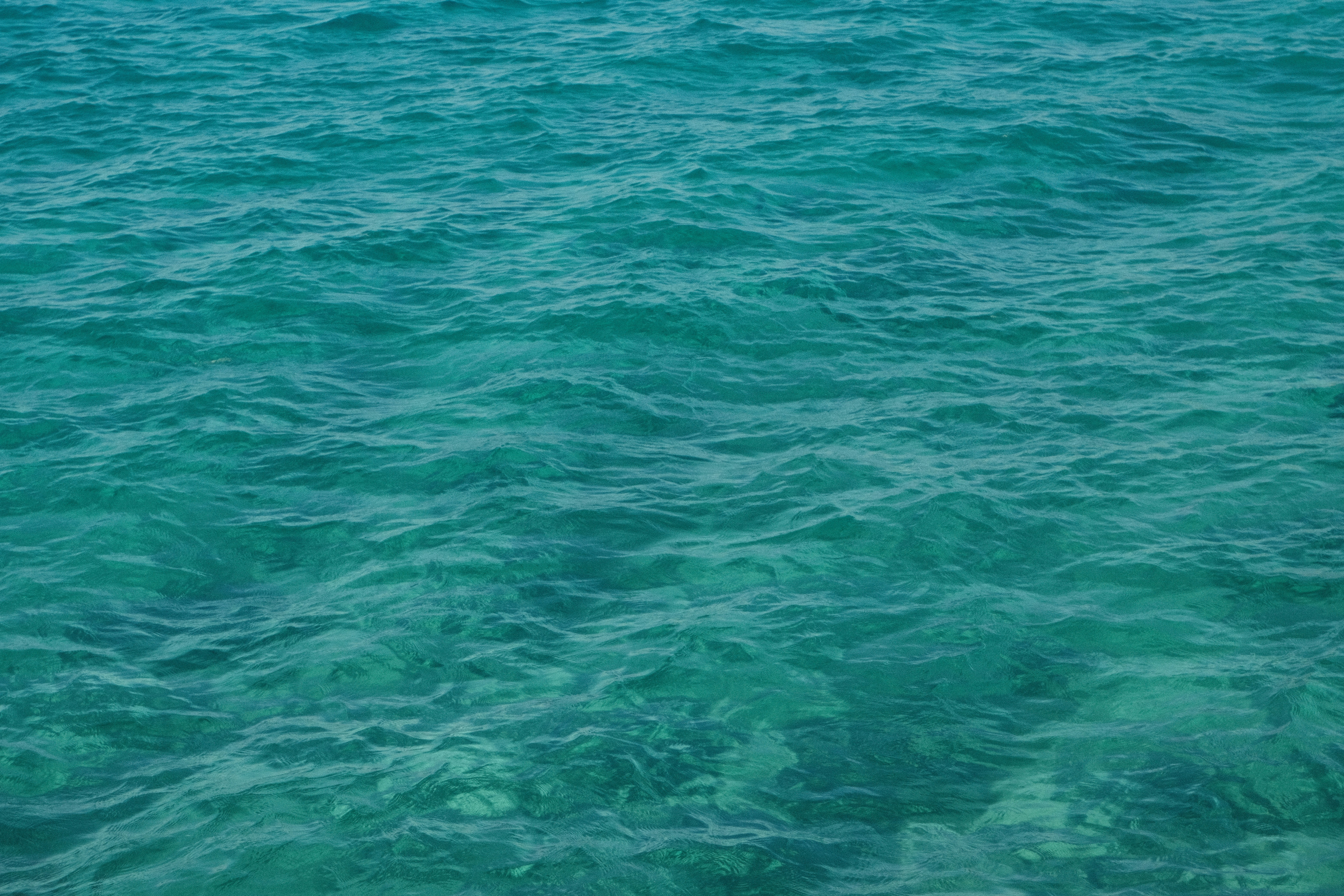 Photo by jack_barton