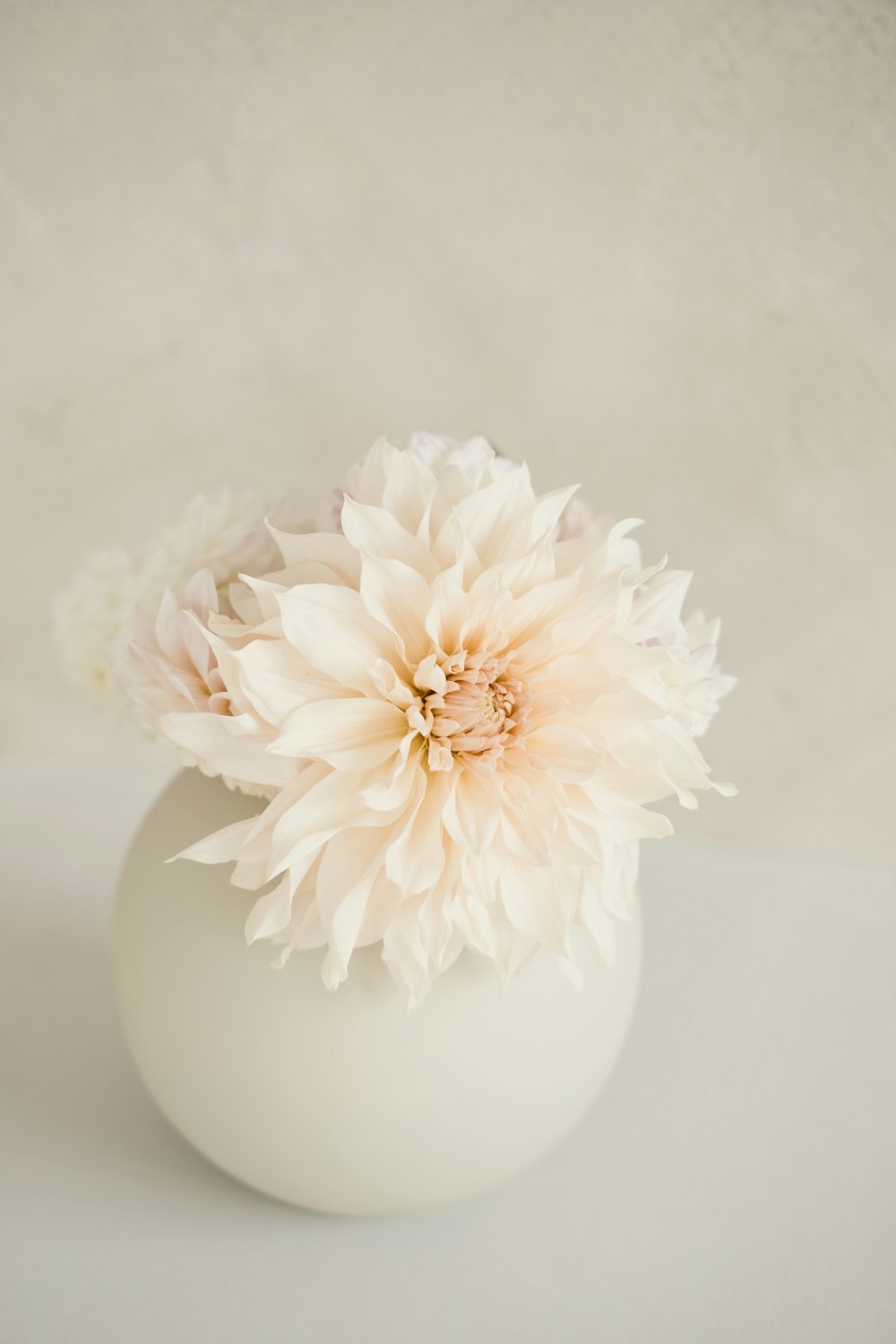 a white vase with a white flower in it