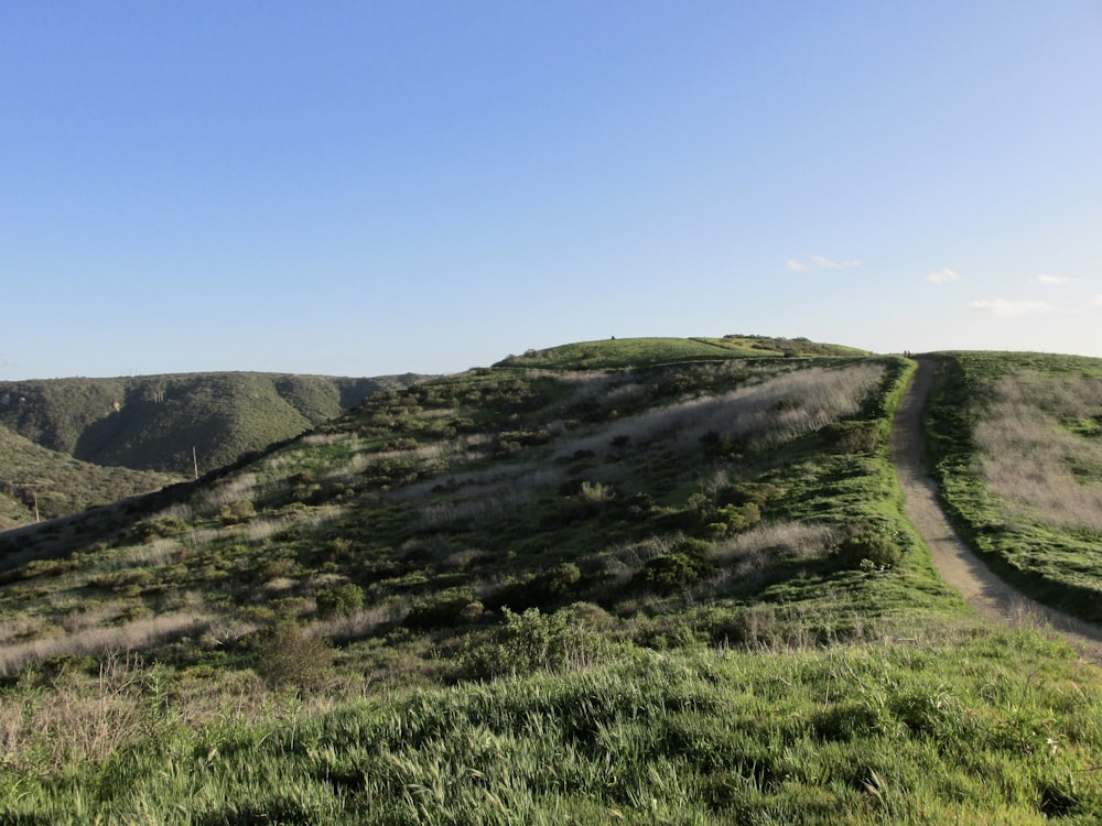 a grassy hill with a dirt road going up it