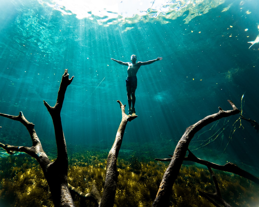 a man standing on top of a tree under water, male in cenote underwater photography
