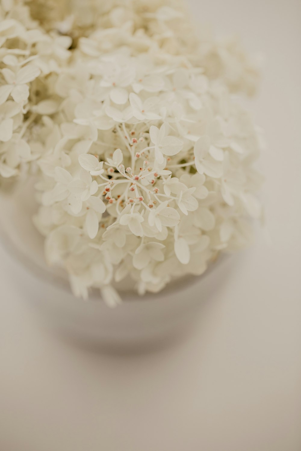 a white vase filled with white flowers on top of a table