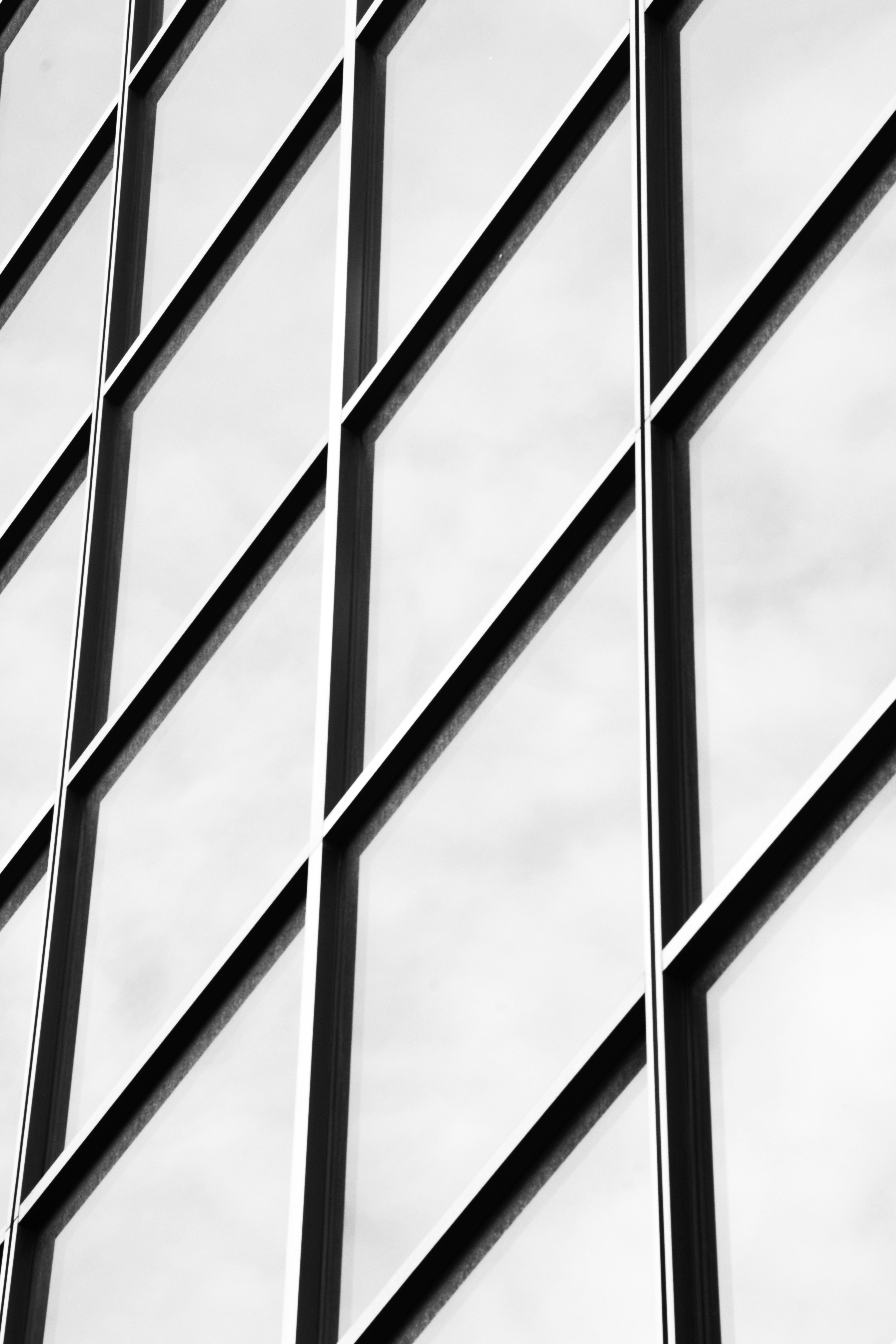 Photo by castillostudio