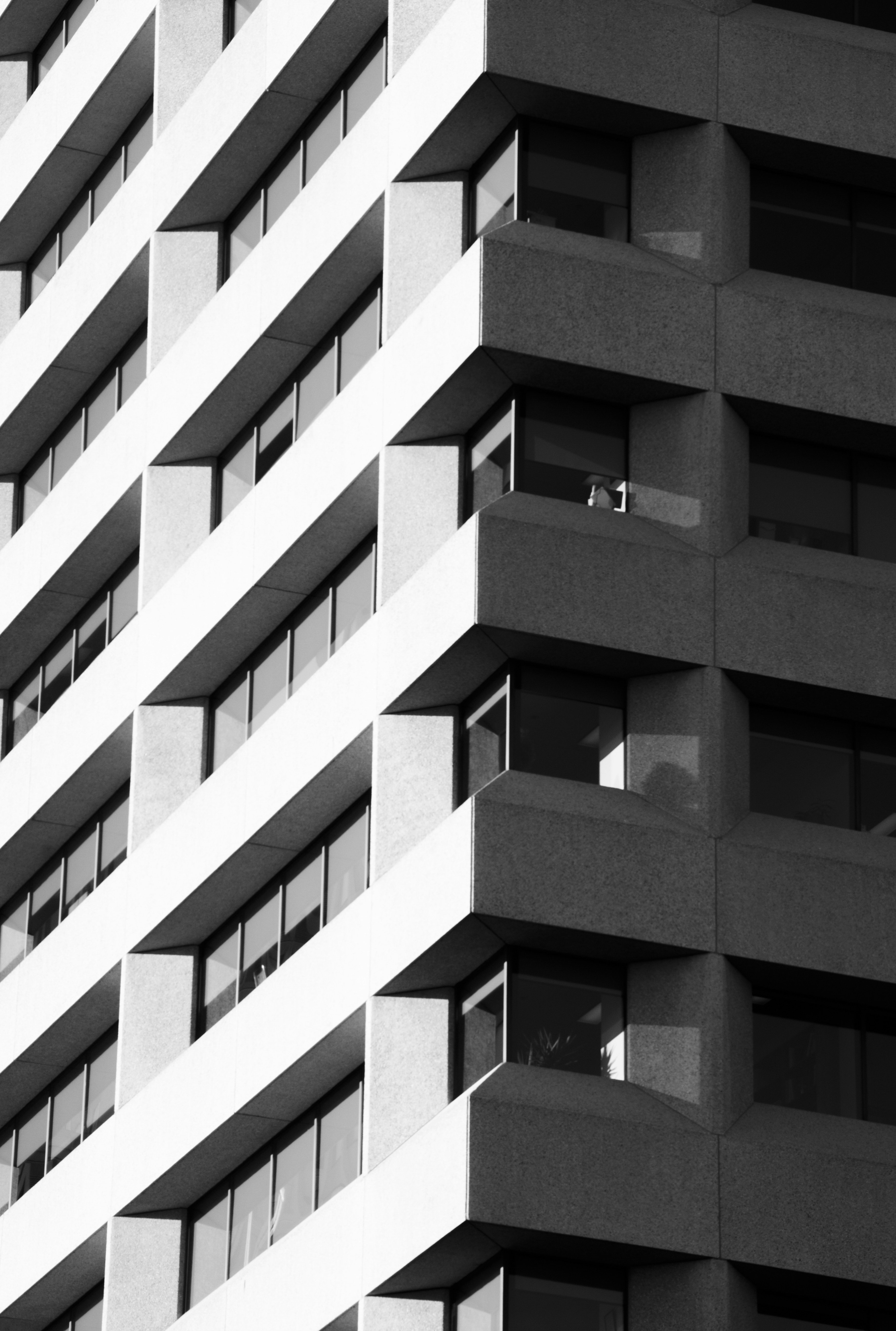 Photo by castillostudio